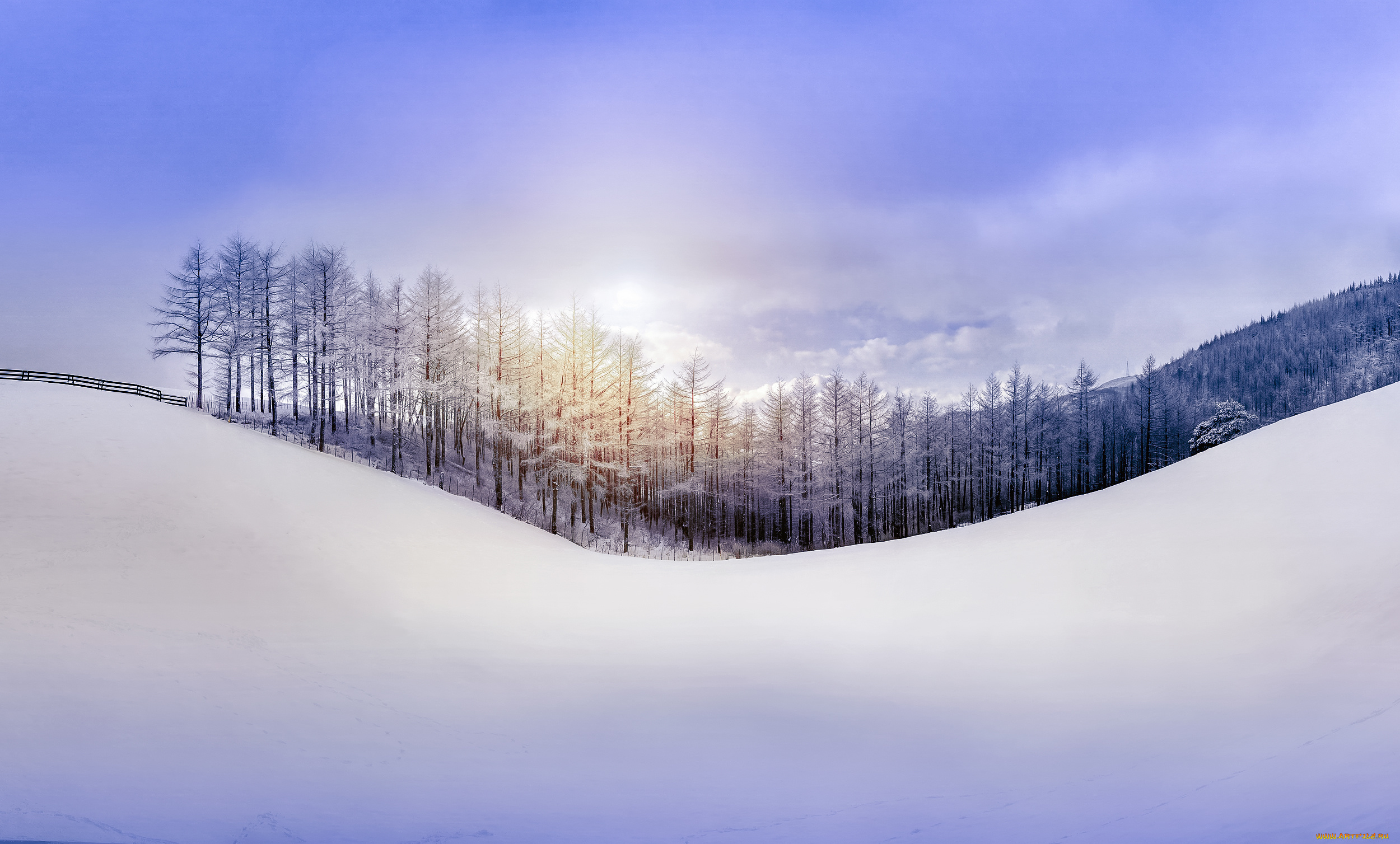 природа, зима, небо, снег, лес, холм
