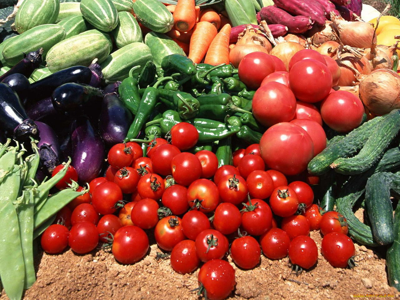 еда, овощи, помидоры, томаты