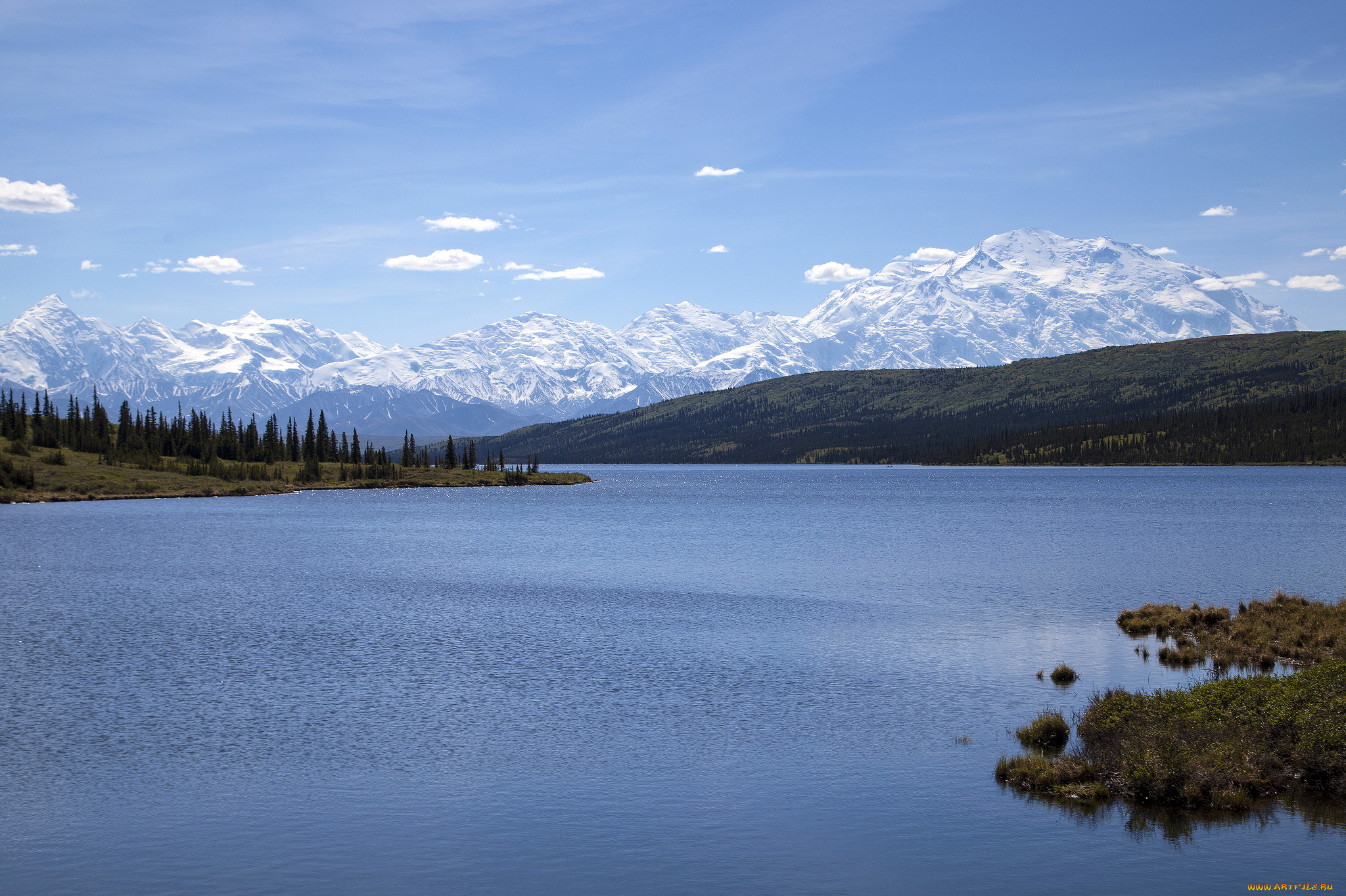 wonder, lake, denali, national, park, alaska, природа, реки, озера, range, национальный, парк, денали, аляска, аляскинский, хребет, озеро, вондер, горы, водная, гладь