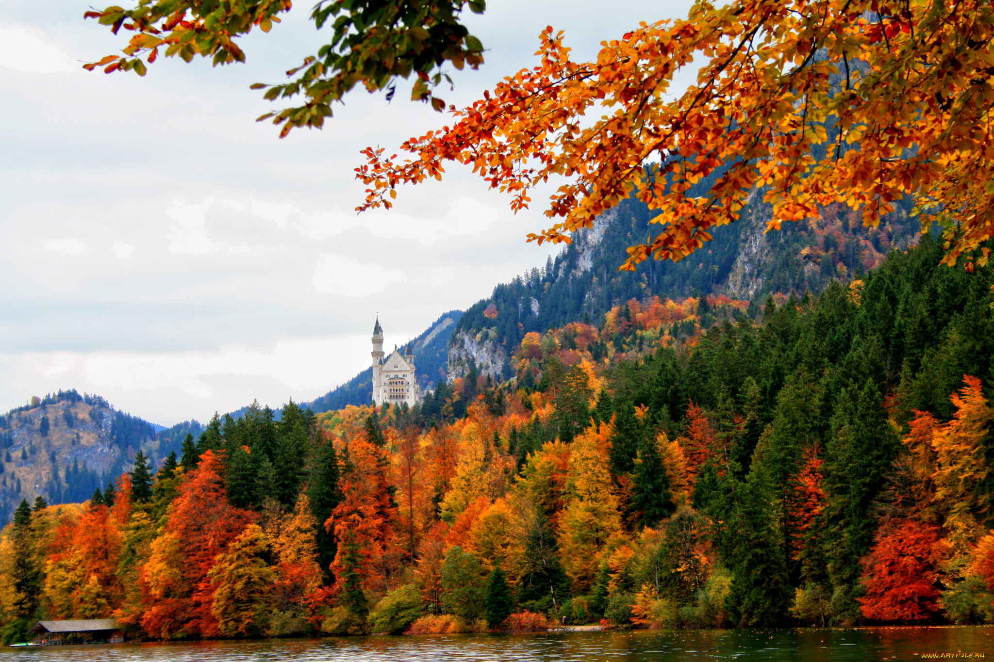 германия, бавария, швангау, природа, горы, осень, лес