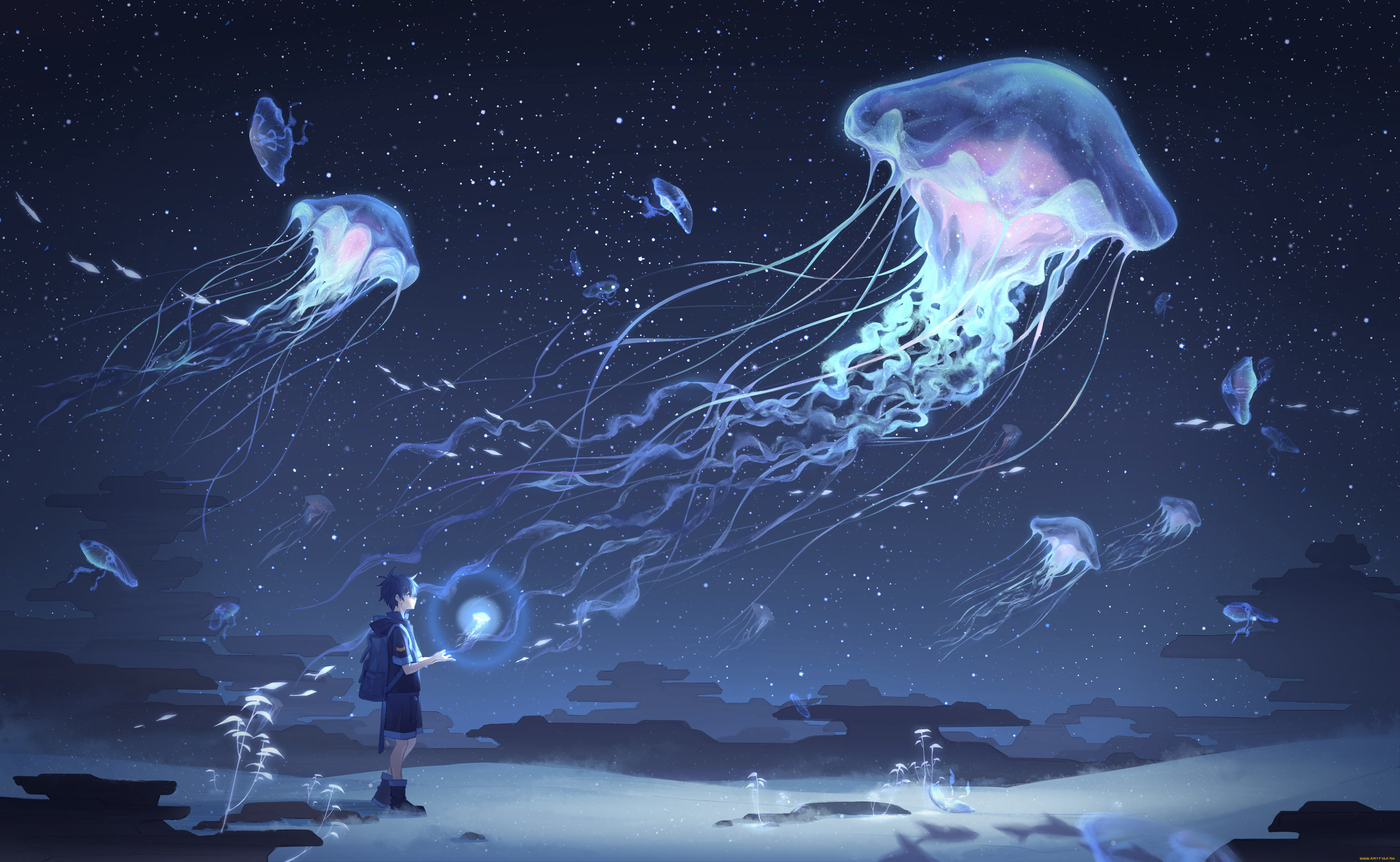 аниме, животные, , существа, мальчик, медузы