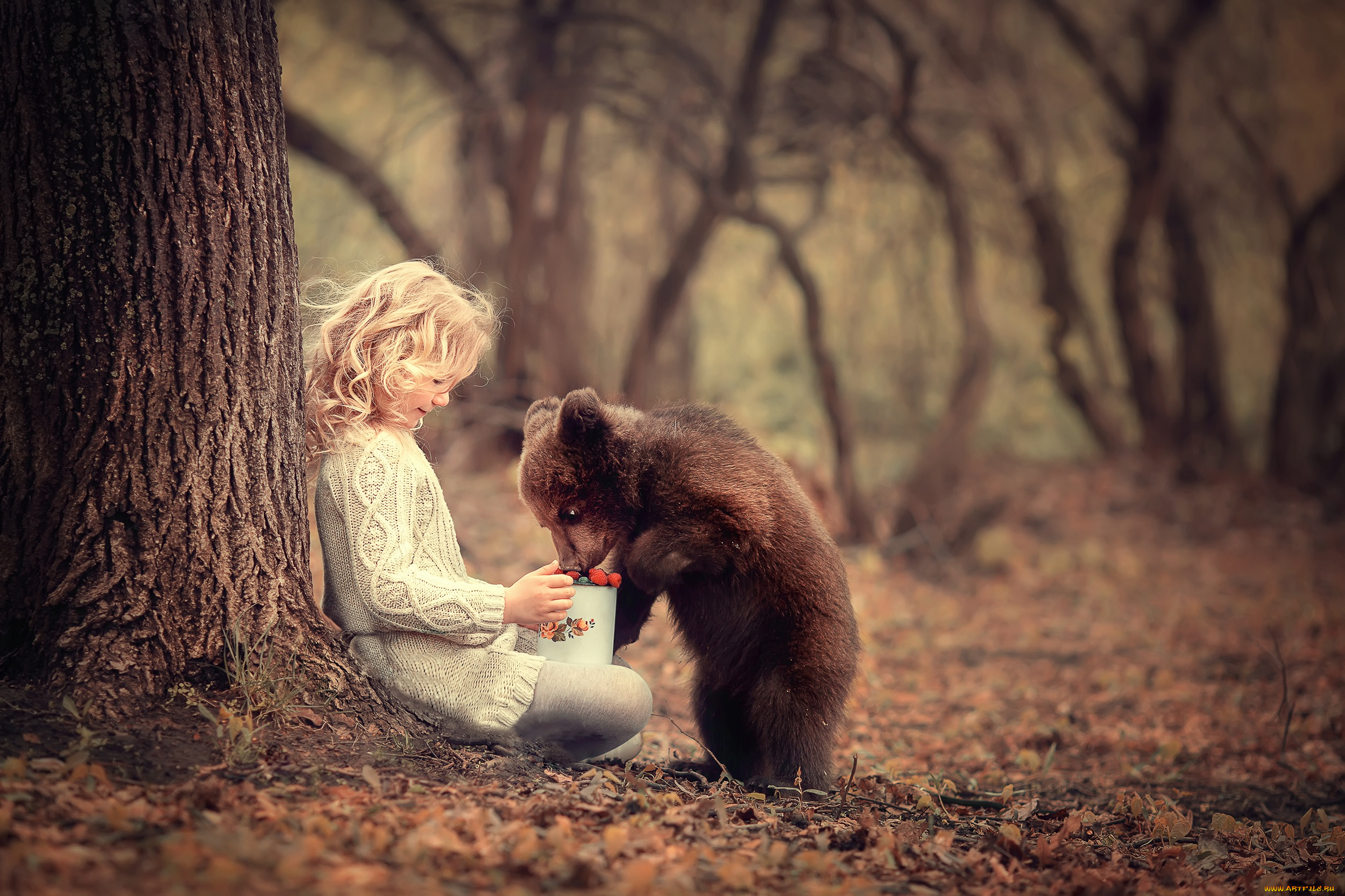 разное, дети, девочка, медвежонок, малина, лес