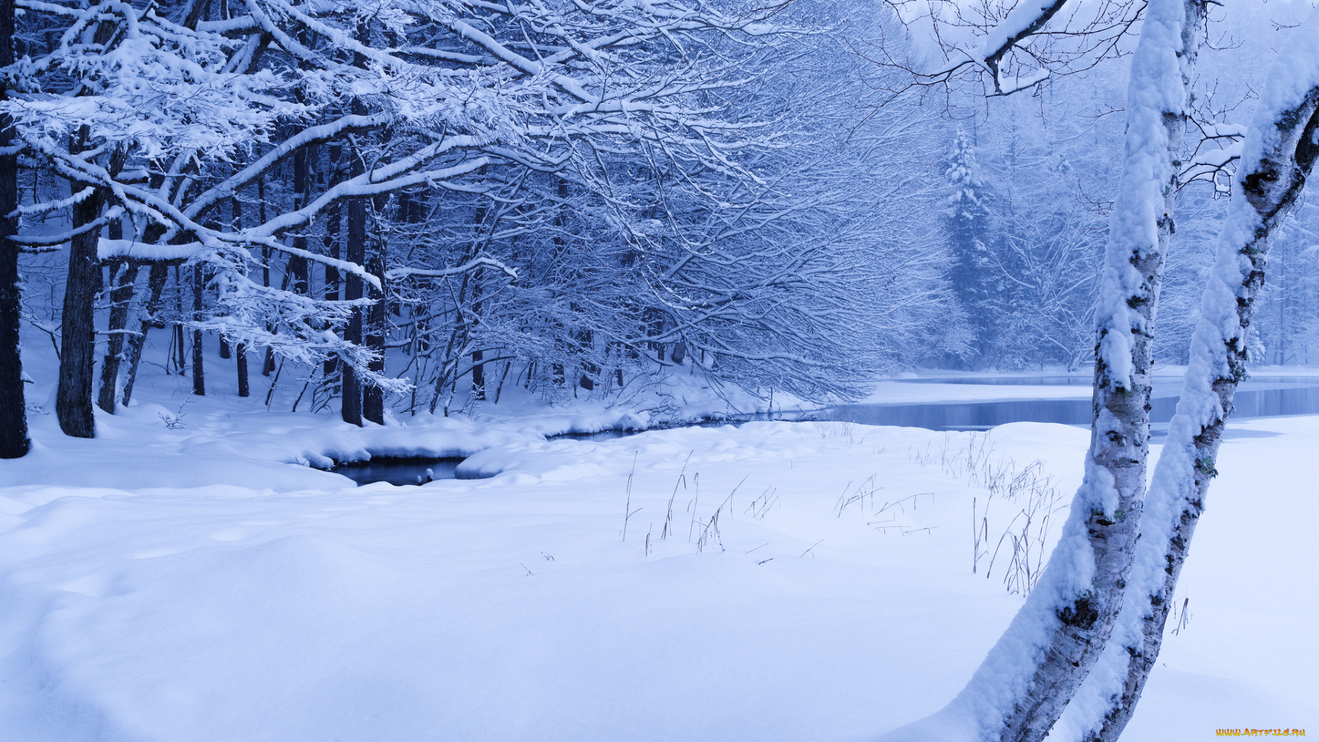 природа, зима, снег, деревья, ручей, лес, пруд