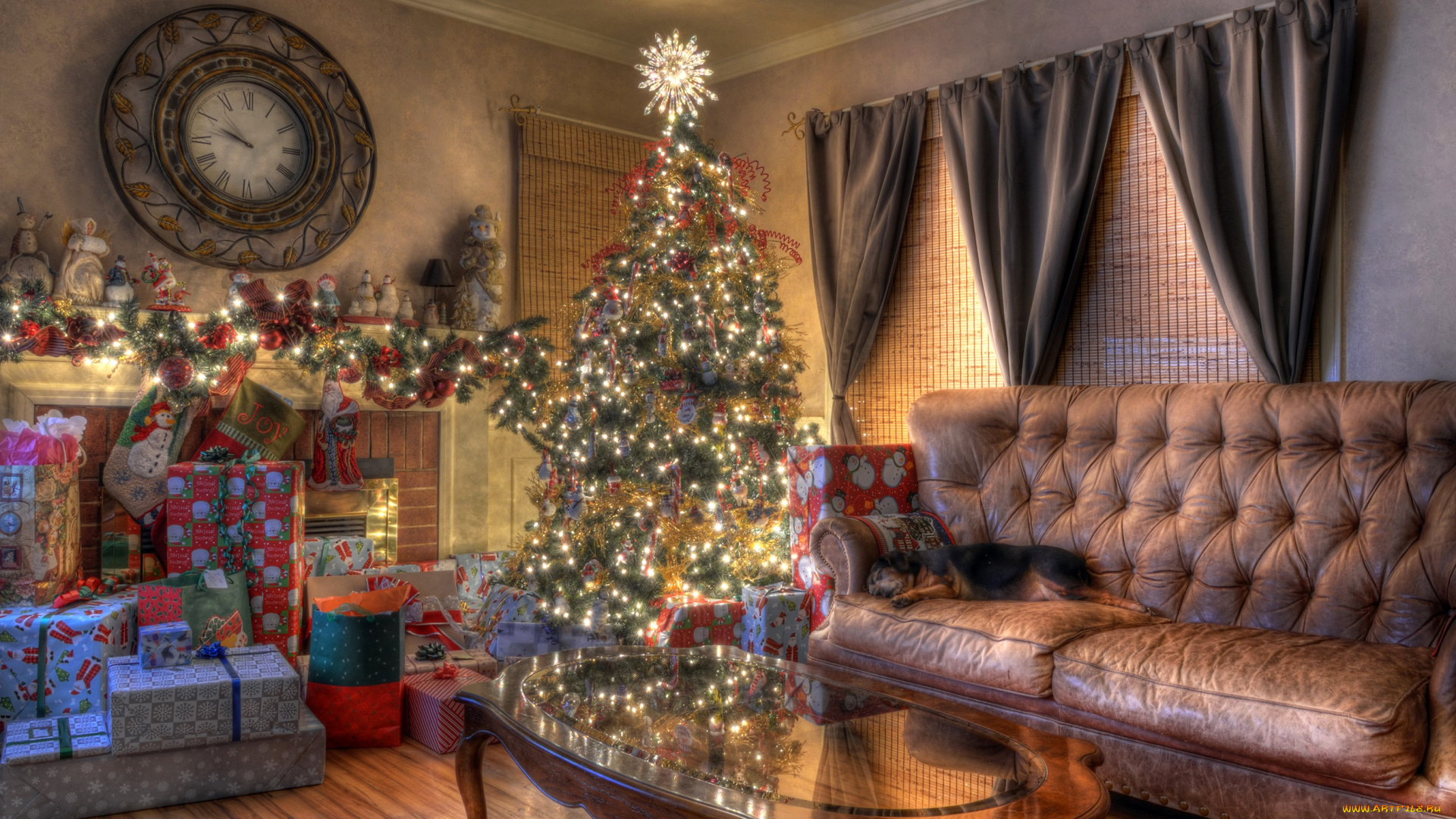 праздничные, Ёлки, собака, гостиная, елка, новый, год, диван, праздник, подарки, гирлянда, часы, рождество