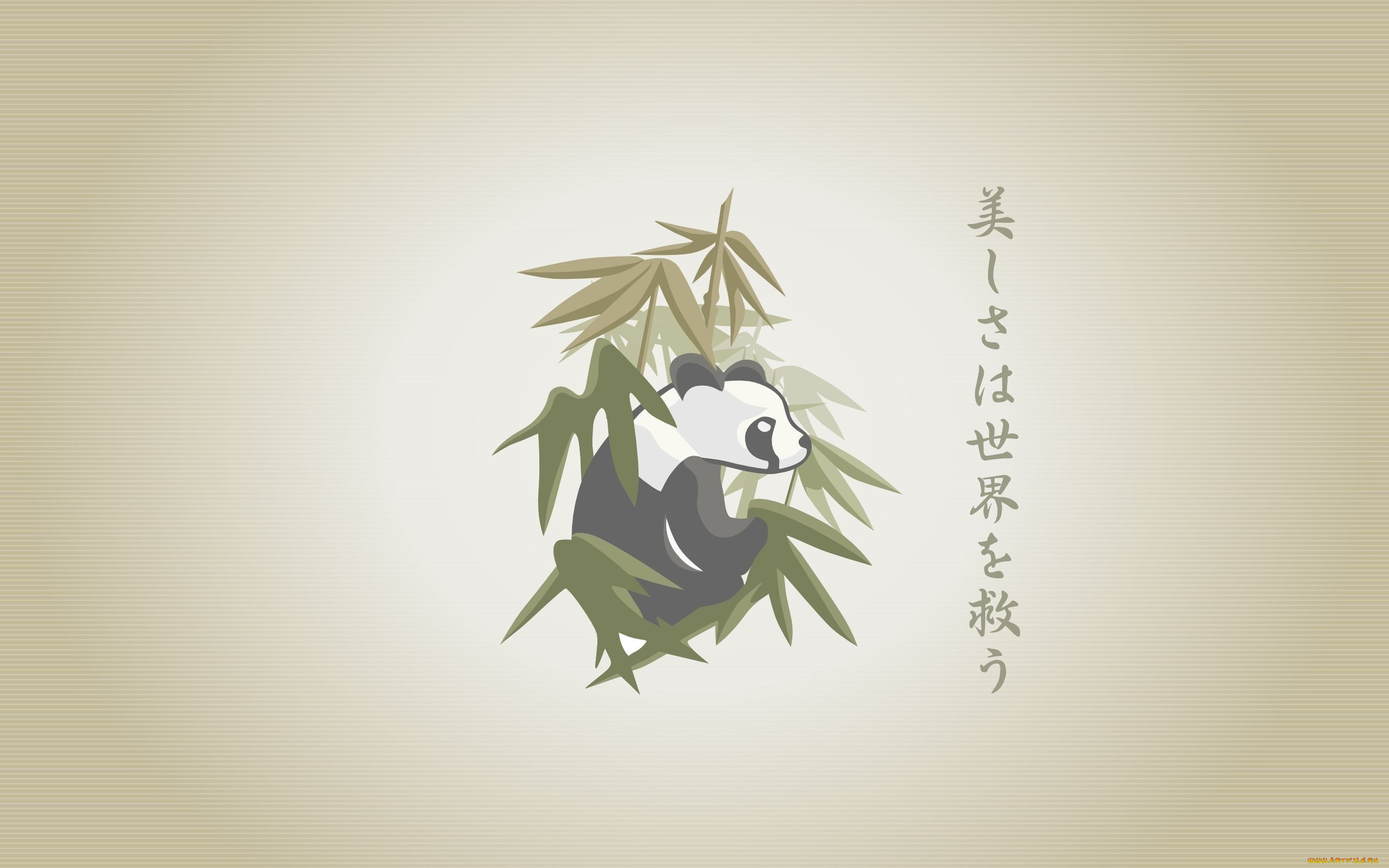рисованные, минимализм, панда, бамбук