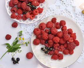 Картинка еда фрукты +ягоды ягоды малина смородина ромашка