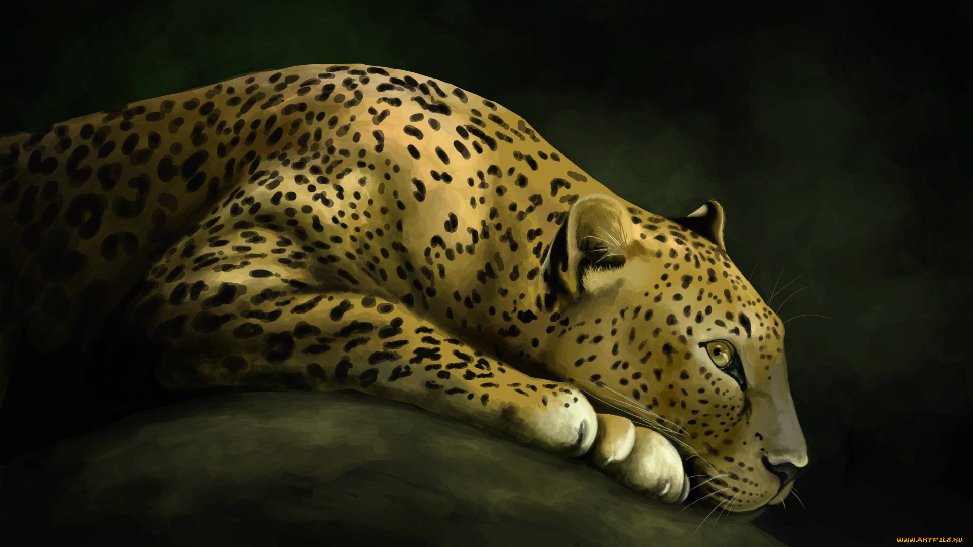 рисованное, животные, леопард, кошка, дикая, арт, хищник, камень