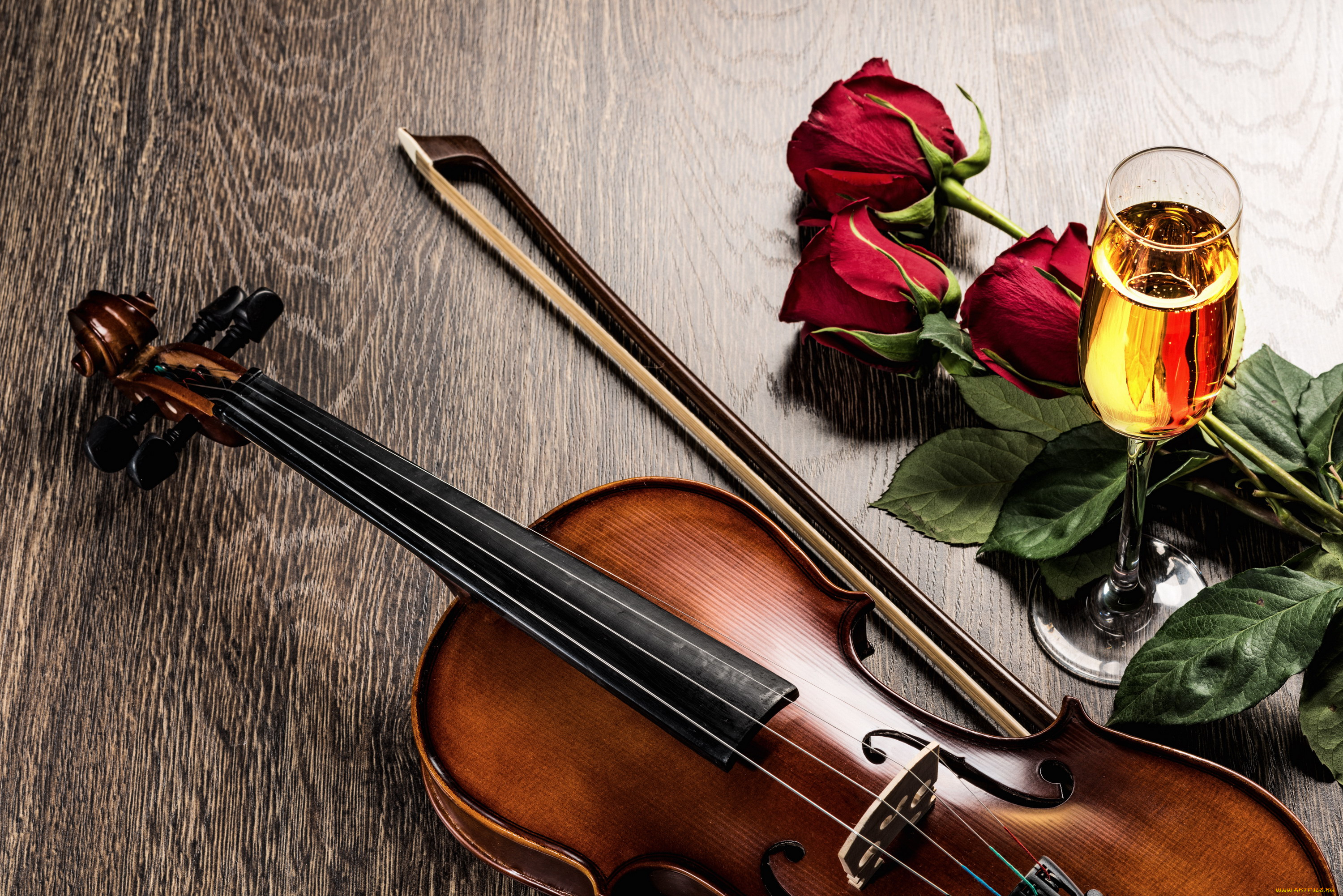 музыка, -музыкальные, инструменты, скрипка, розы, шампанское, бокал