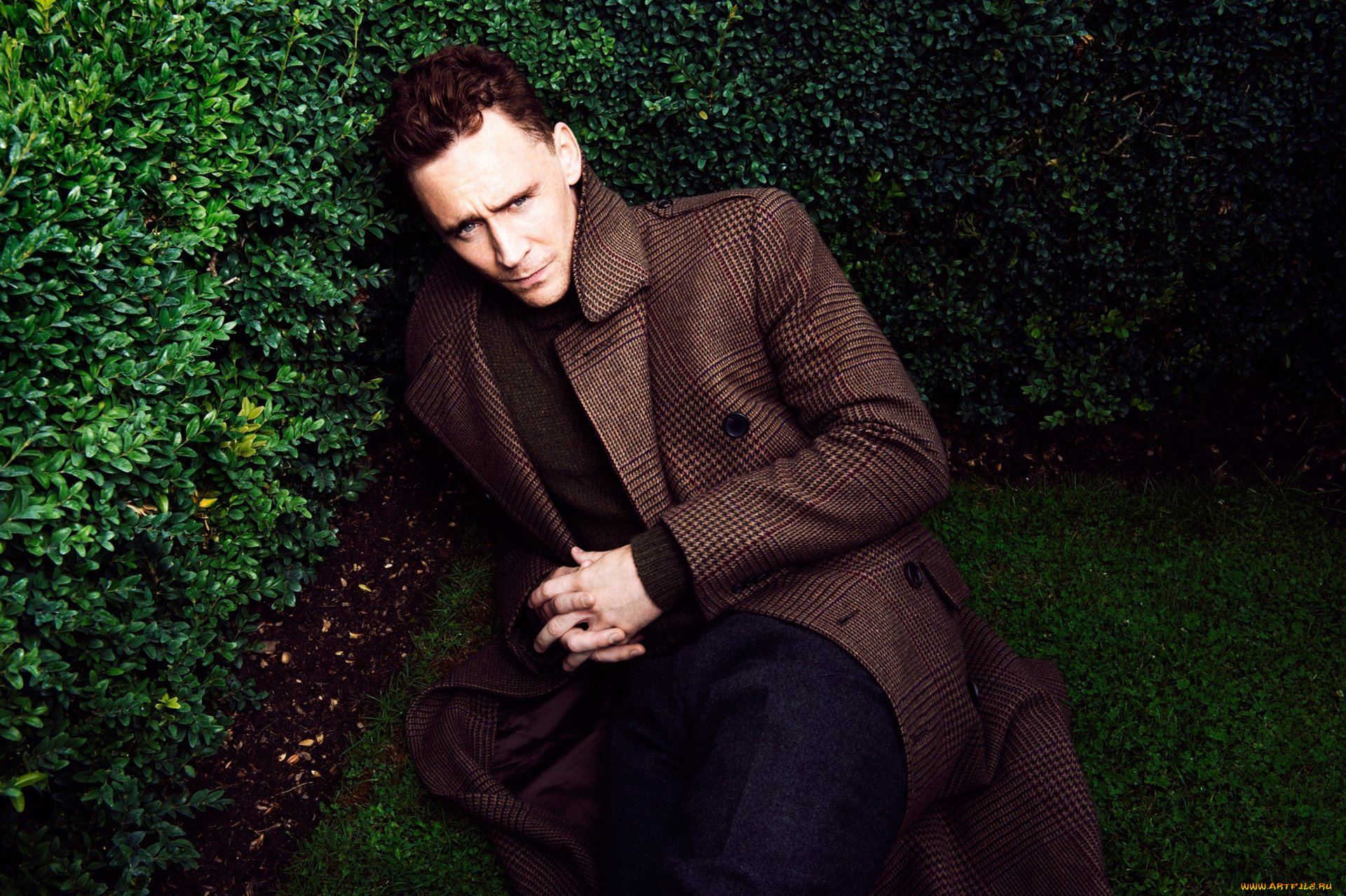 мужчины, tom, hiddleston, пальто