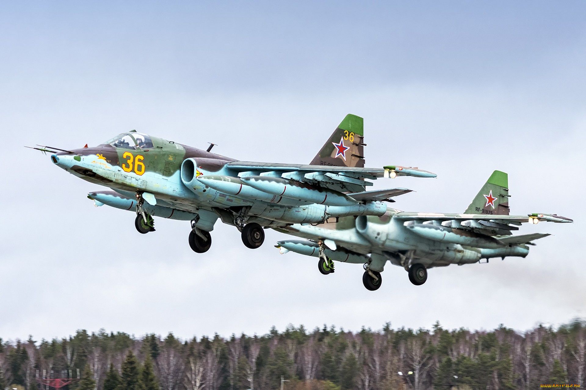 su-25bm, авиация, боевые, самолёты, ввс, россия