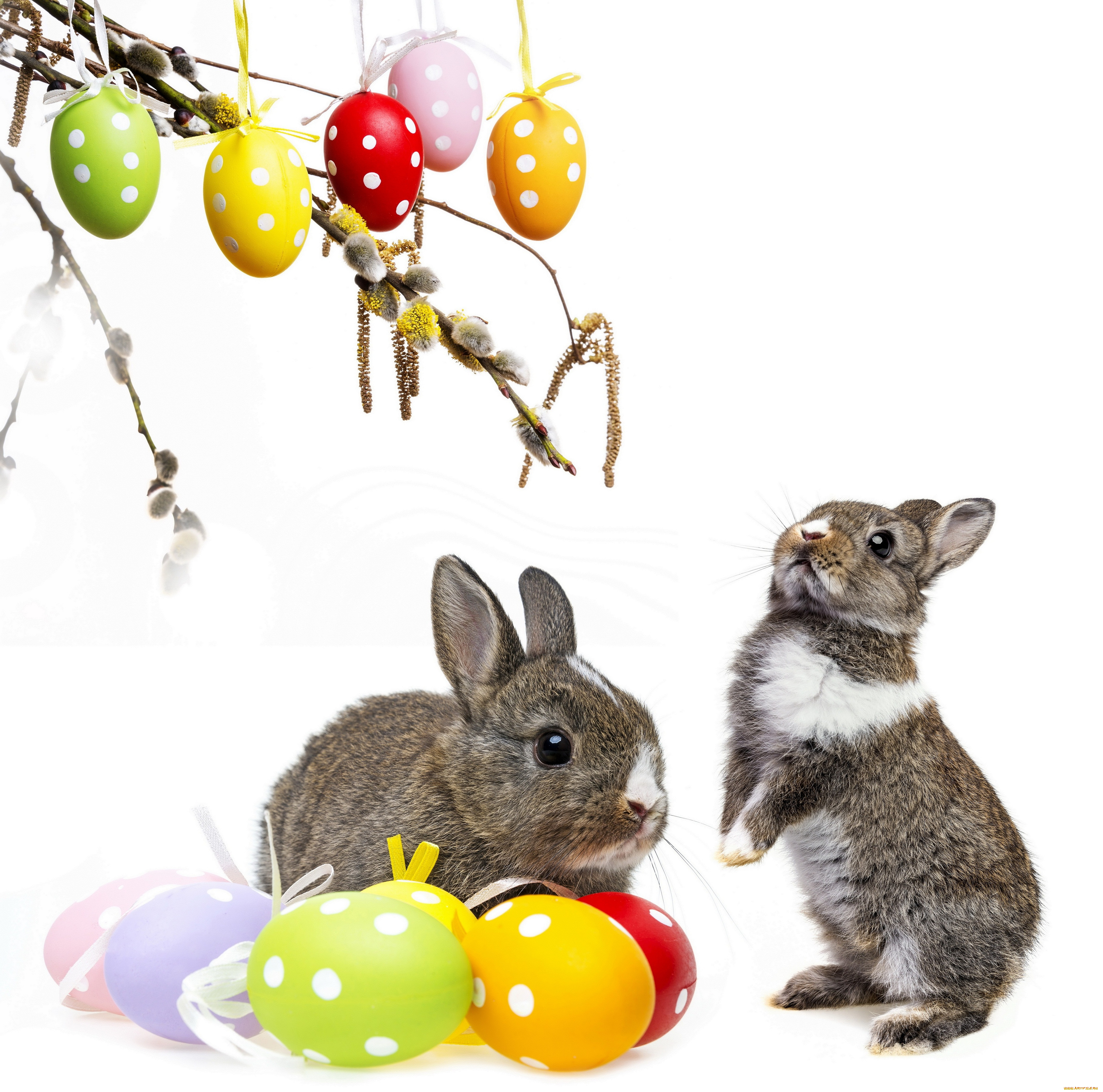 праздничные, -, пасха, easter, bunny, rabbit, spring, decoration, willow, twig, flowers, eggs, colorful, пасха, кролики, весна, верба, цветы, пасхальный, крашеные, яйца, корзина, ветки