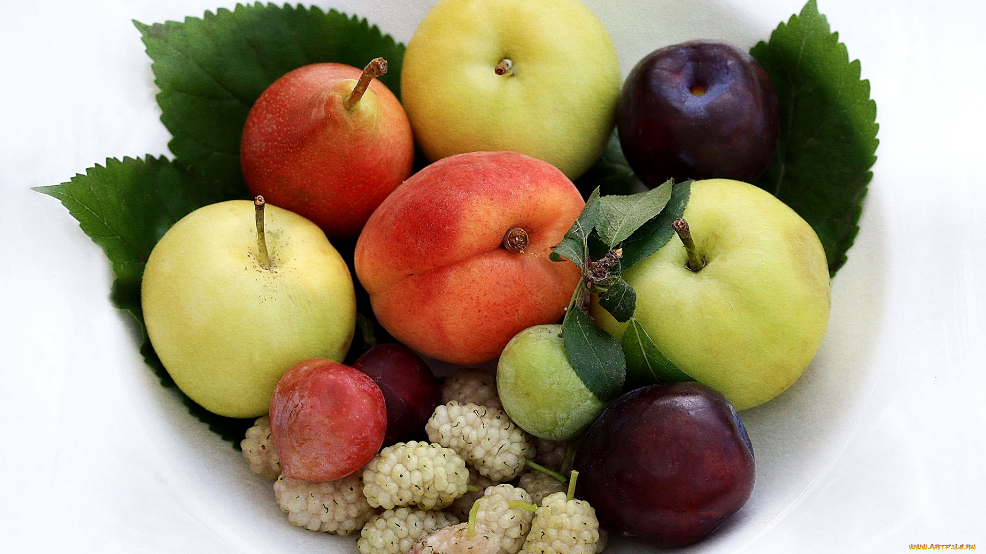 еда, фрукты, ягоды, шелковица, груши, сливы, яблоки
