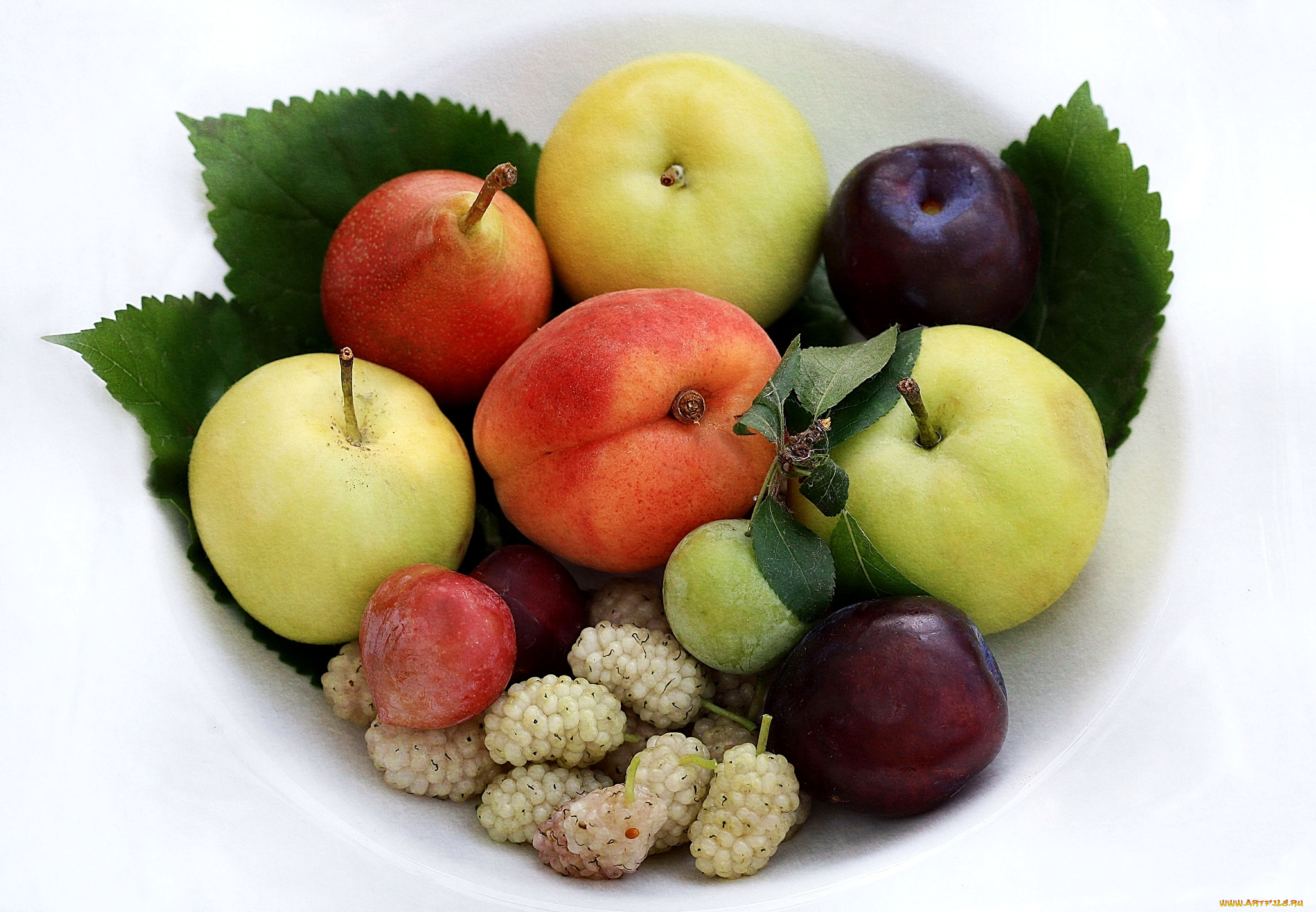 еда, фрукты, ягоды, шелковица, груши, сливы, яблоки