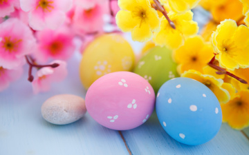 Картинка праздничные пасха easter eggs flowers spring яйца цветы