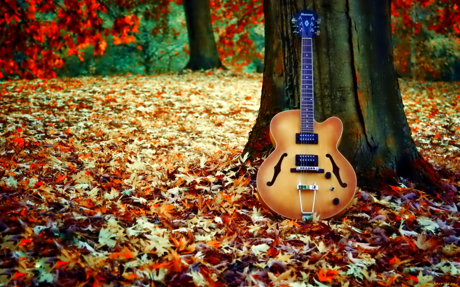 музыка, -музыкальные, инструменты, осень, листья, гитара