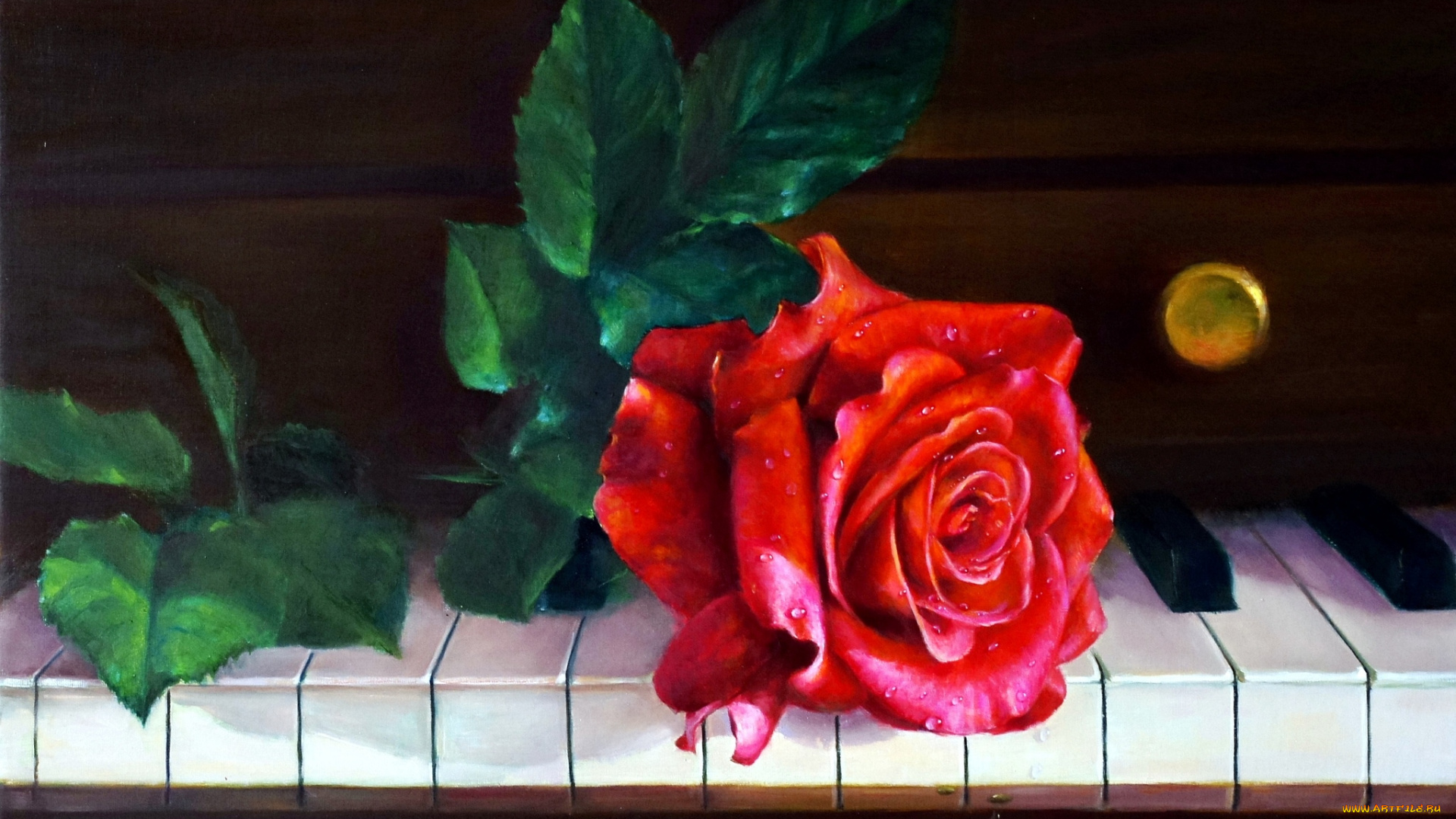 рисованные, цветы, клавиши, роза, пианино
