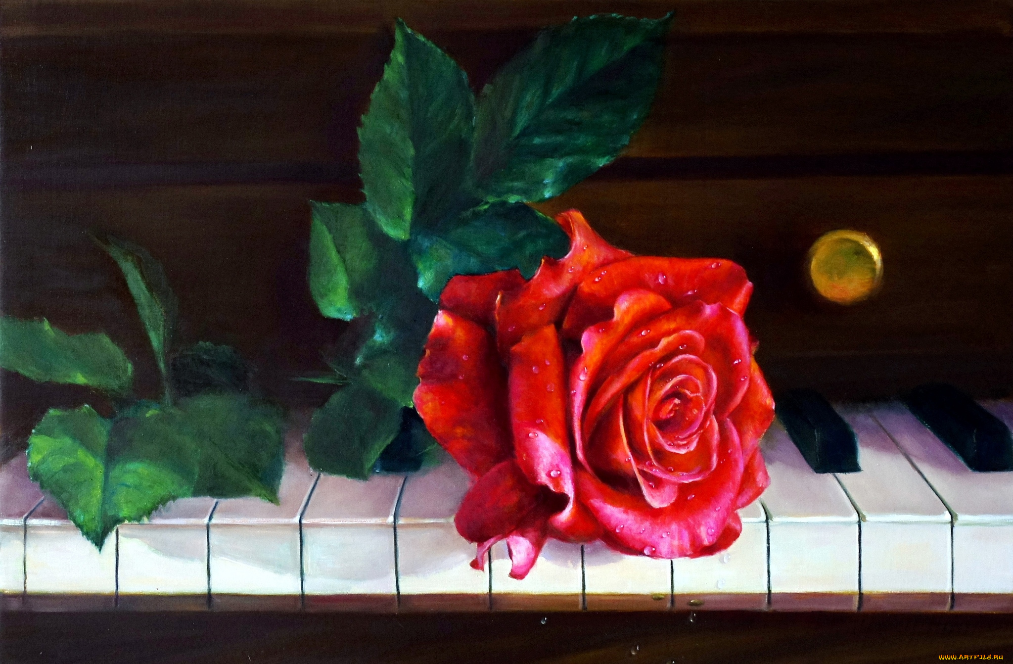 рисованные, цветы, клавиши, роза, пианино
