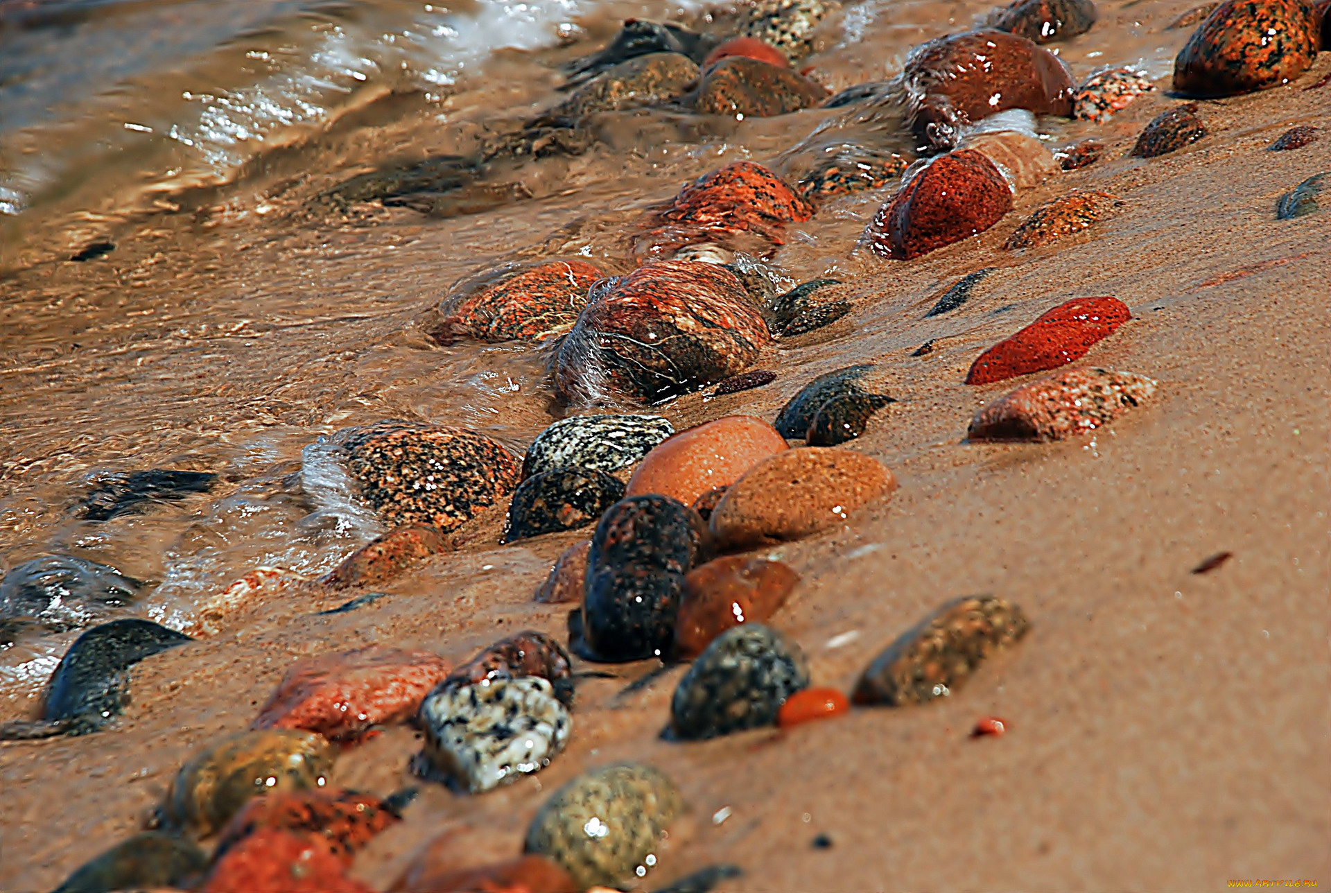 разное, ракушки, , кораллы, , декоративные, и, spa-камни, волна, море, берег