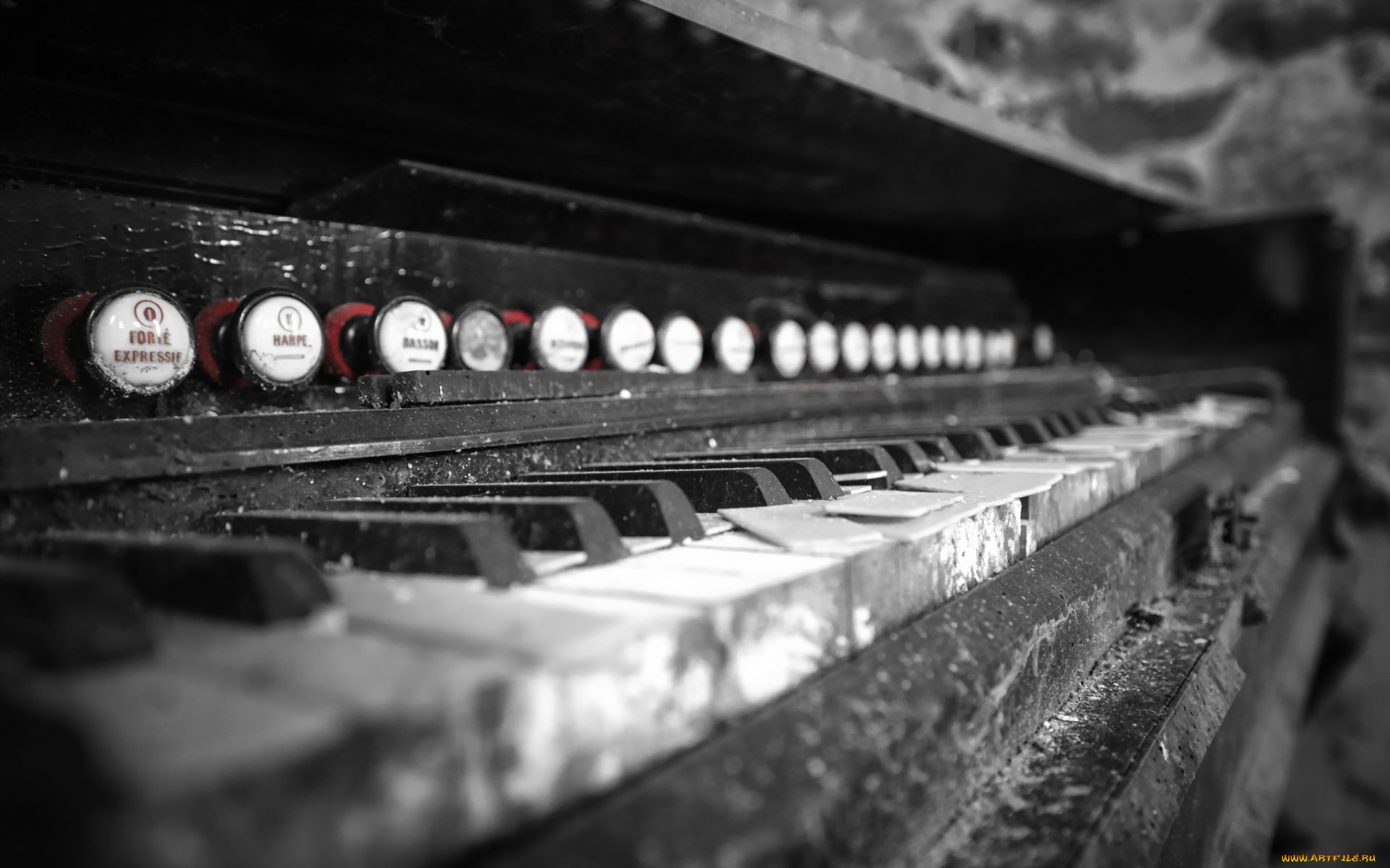 музыка, -музыкальные, инструменты, орган, клавиши