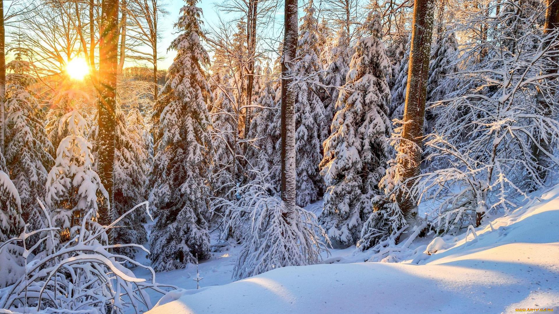 природа, зима, лес, сугробы, снег, закат