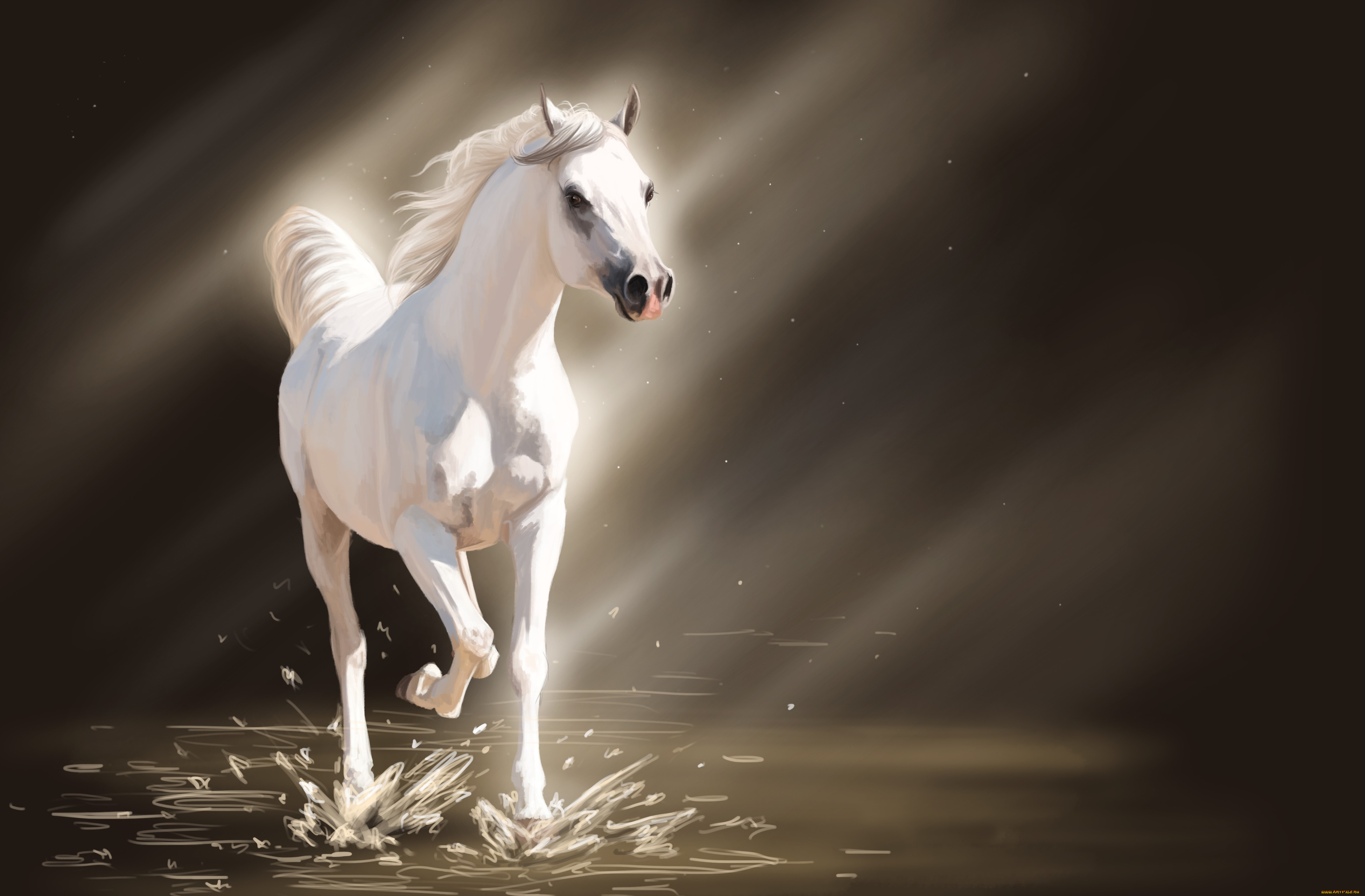 рисованные, животные, лошади, лучи, свет, вода, брызги, белая, лошадь