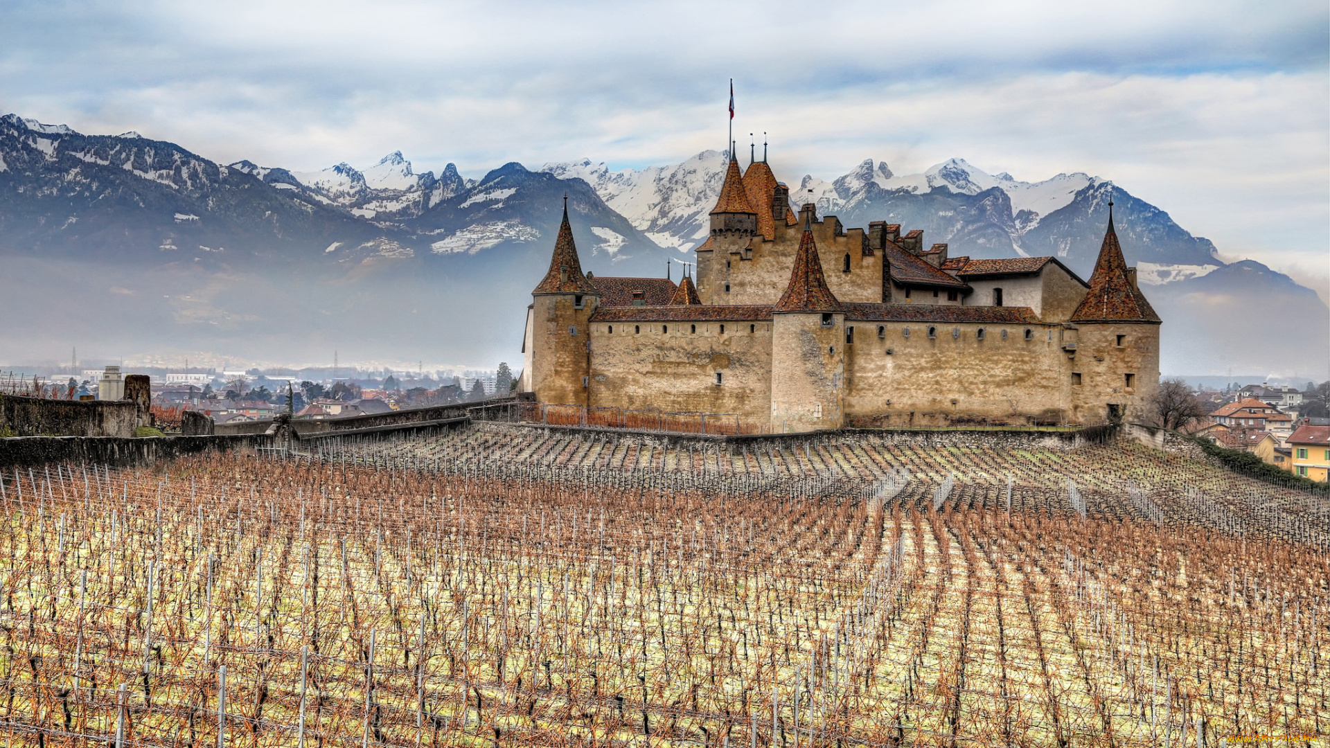 chateau, d`aigle, города, замки, швейцарии, виноградник, горы, замок