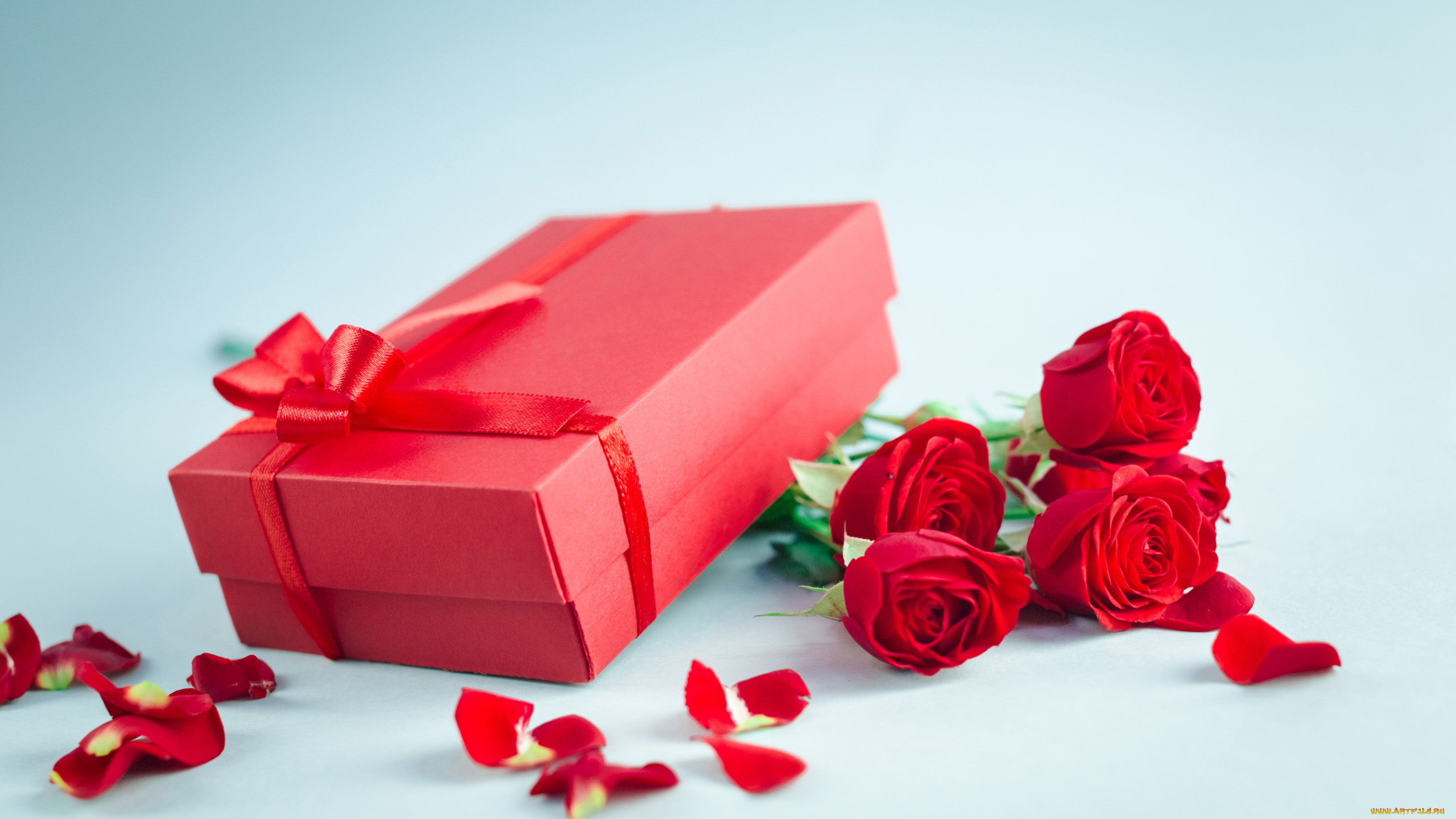 праздничные, подарки, и, коробочки, бант, лепестки, розы, коробка, подарок