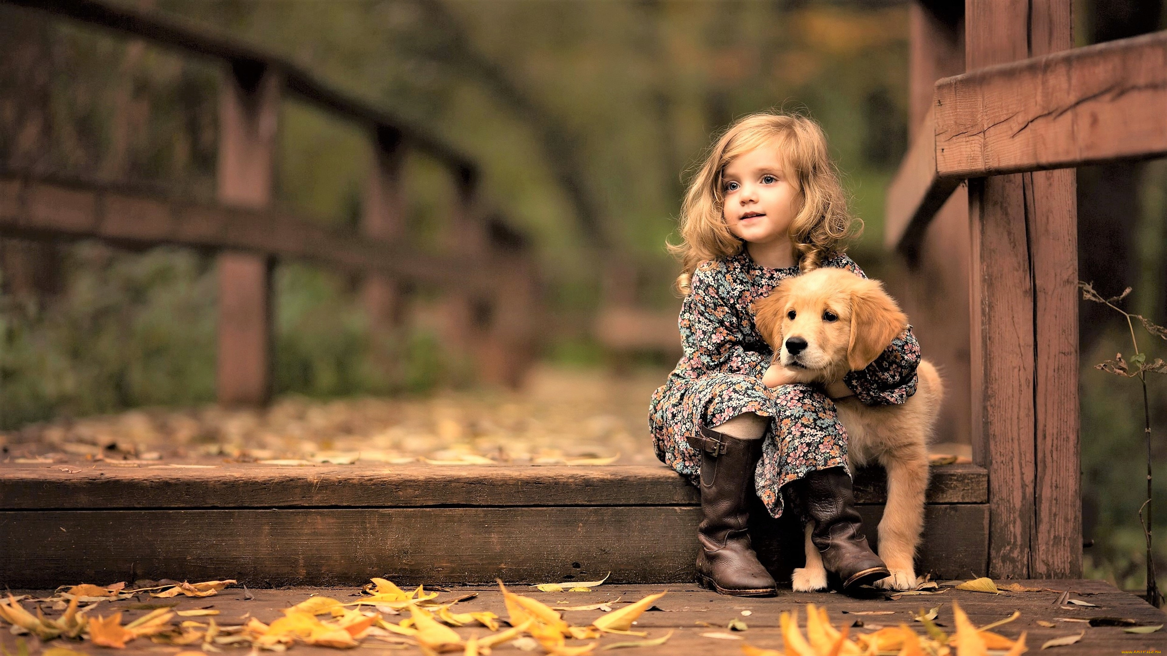 разное, дети, девочка, собака, мост, листья