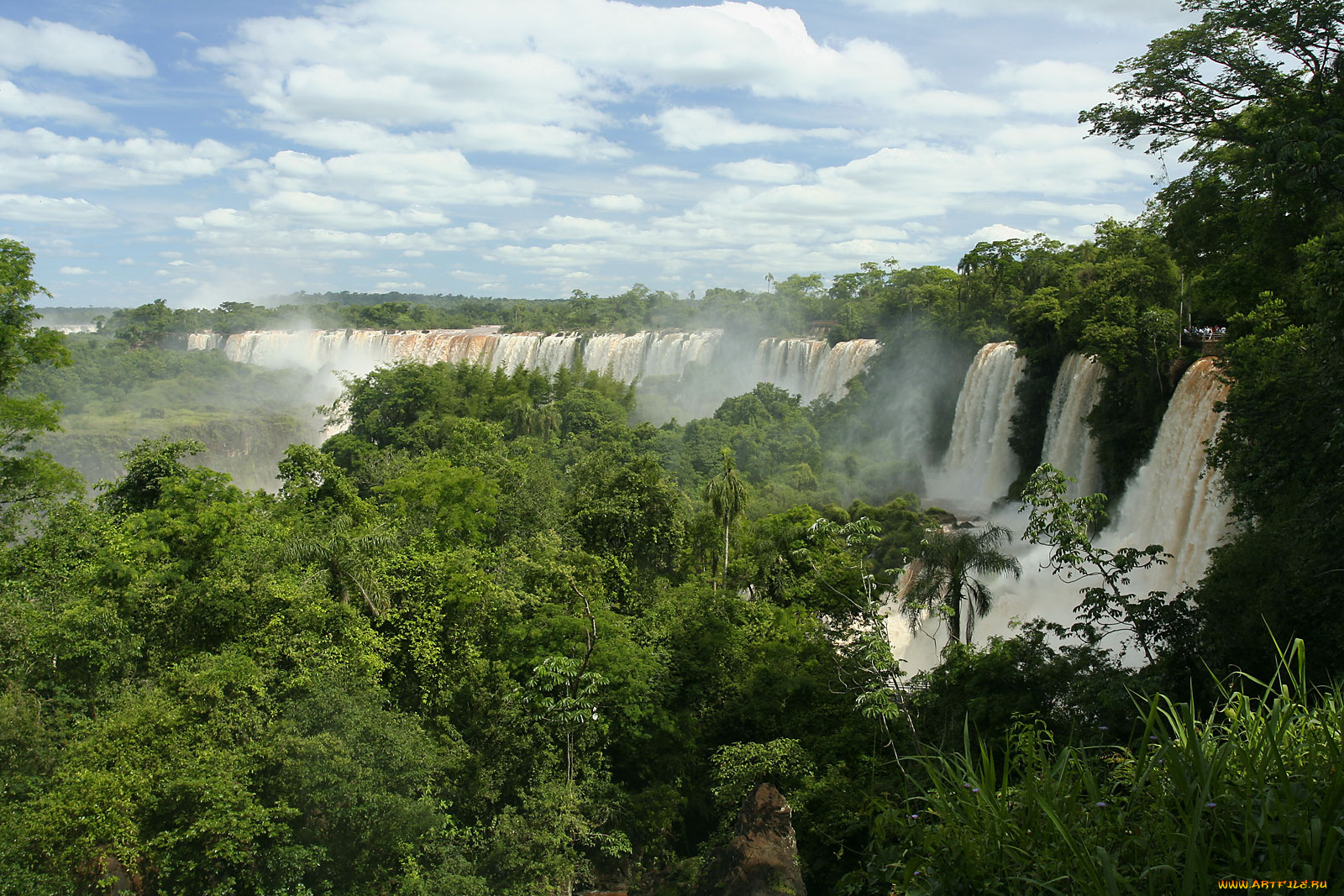 iguazu, falls, природа, водопады, деревья, потоки, воды