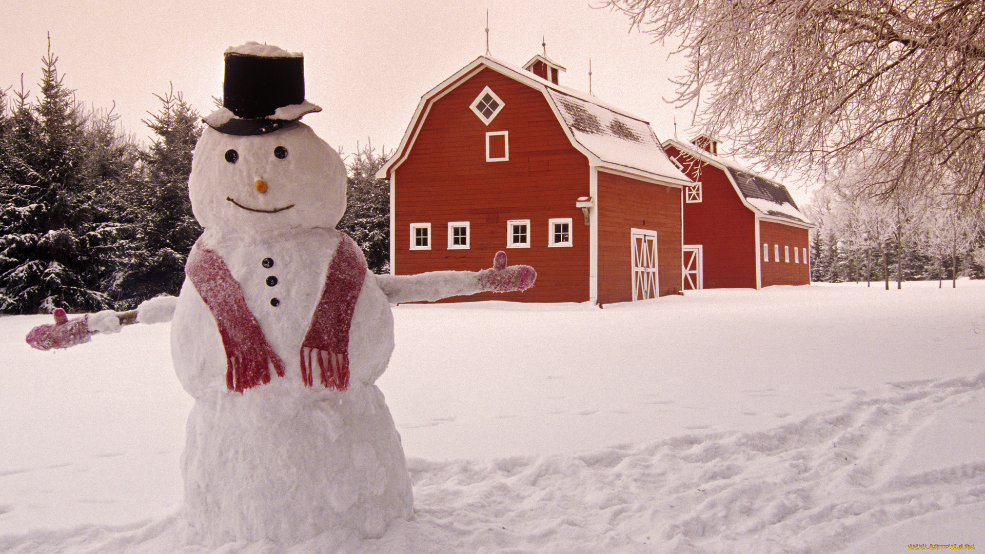 праздничные, снеговики, дом, снег, шарф