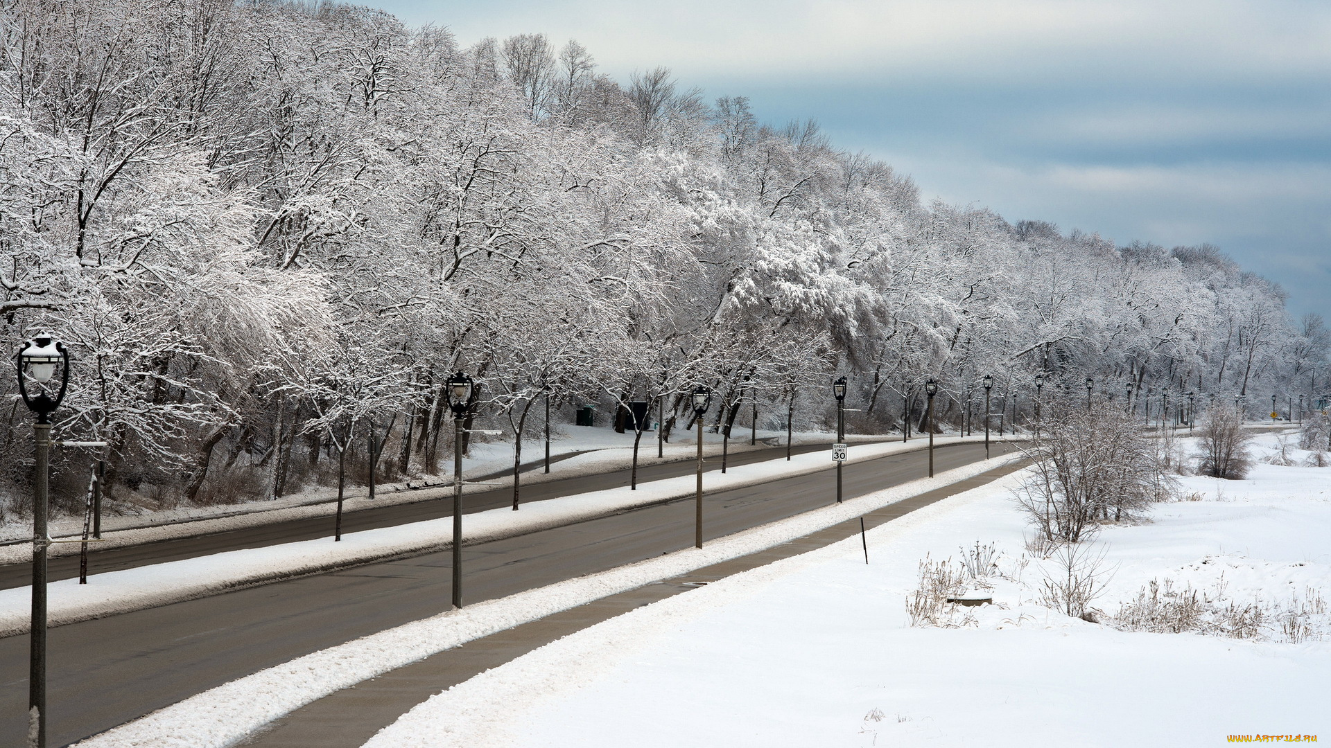 природа, дороги, дорога, снег, деревья