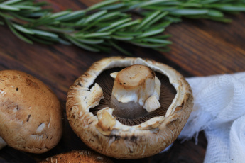 Картинка еда грибы +грибные+блюда гриб зелень