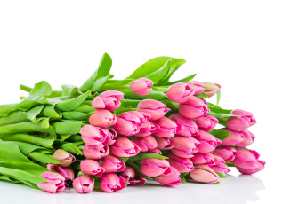 Картинка цветы тюльпаны букет подарок