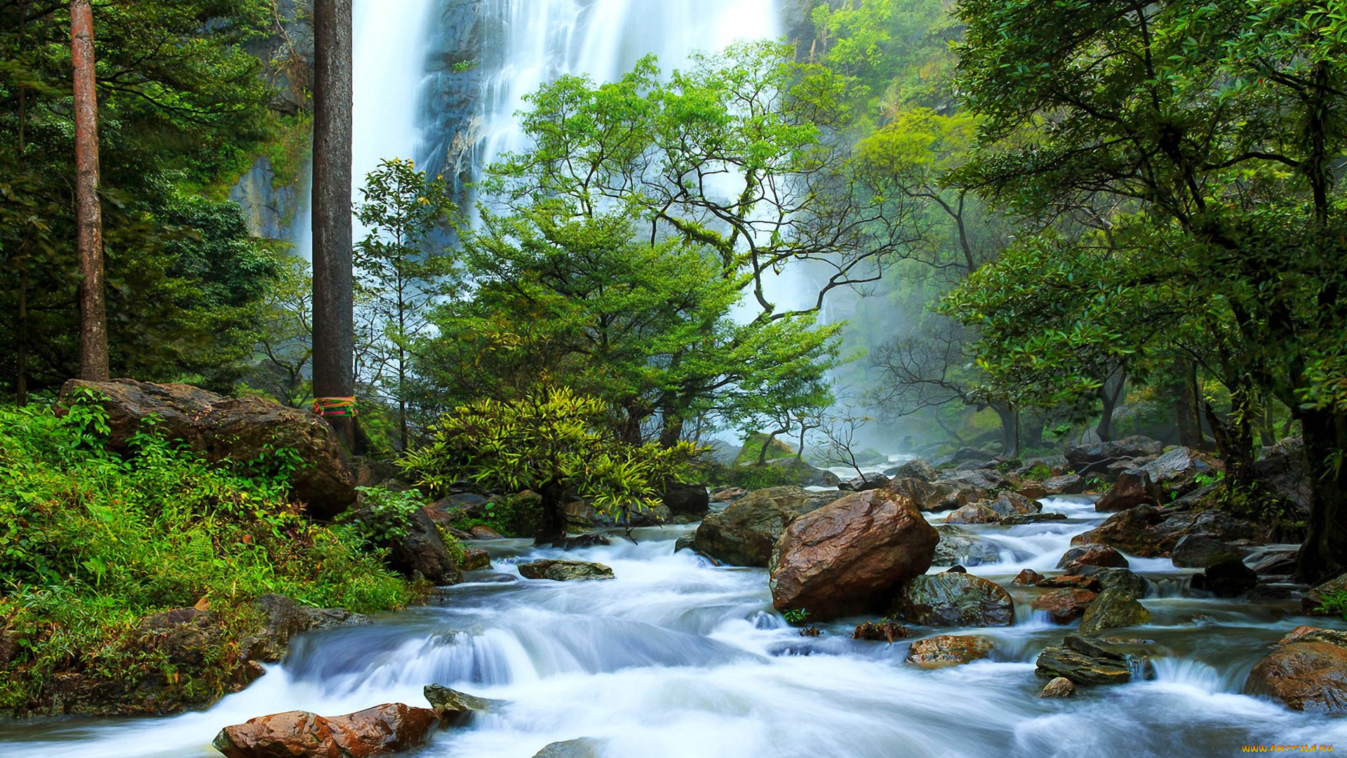 природа, водопады, поток, водопад, лес