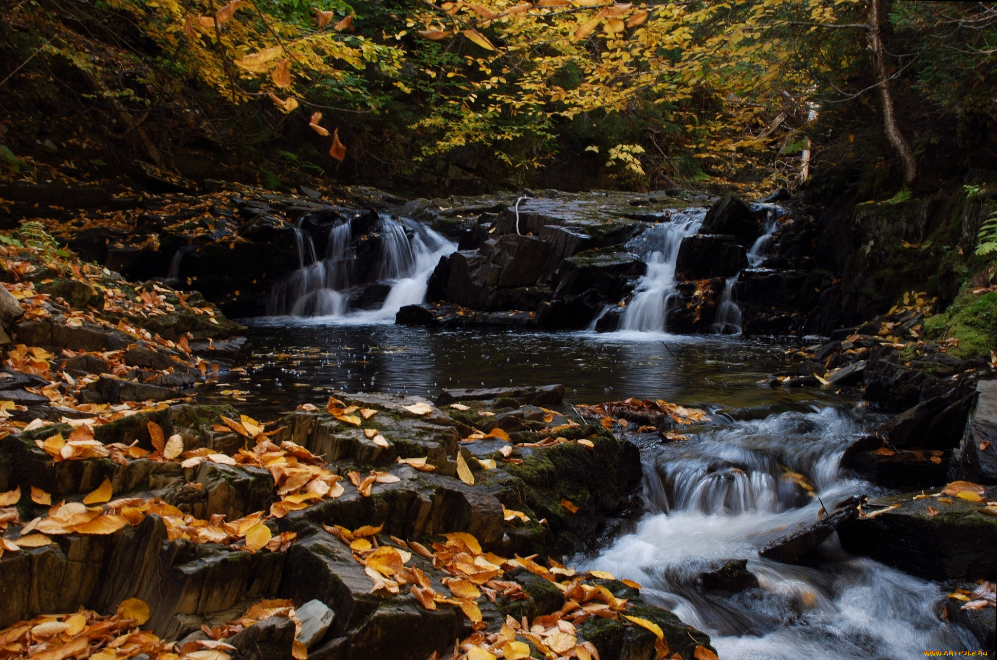 nigadoo, river, canada, природа, водопады, канада, каскад, река, лес, осень, листья