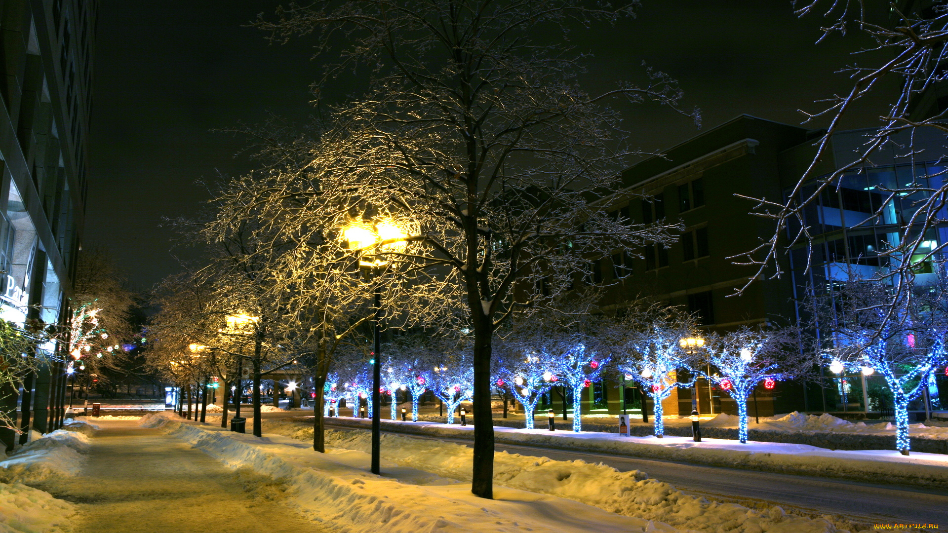 праздничные, новогодние, пейзажи, огни, зима, снег, деревья, здания, город, дома, улица, иллюминация