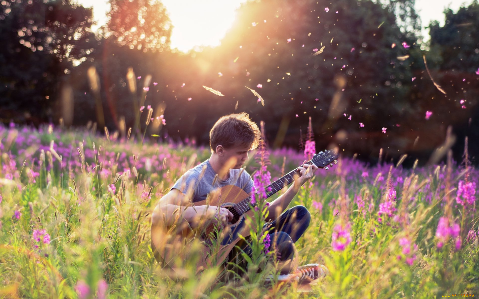 музыка, -другое, природа, растения, цветы, гитара, парень