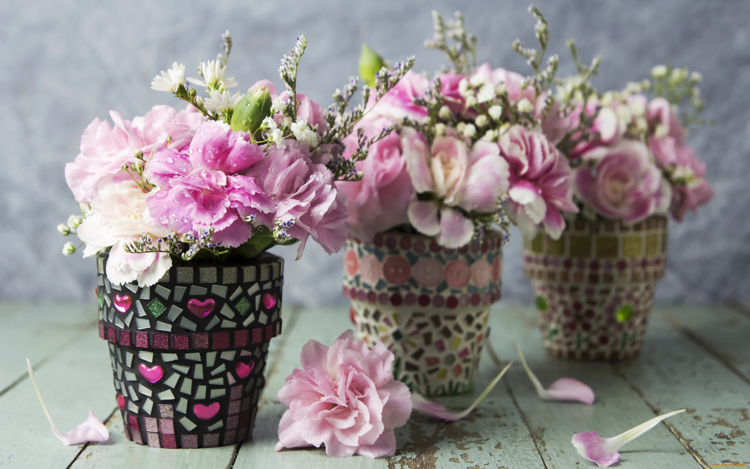 цветы, гвоздики, flowers, pink, romantic, лепестки, розовые, vintage, beautiful