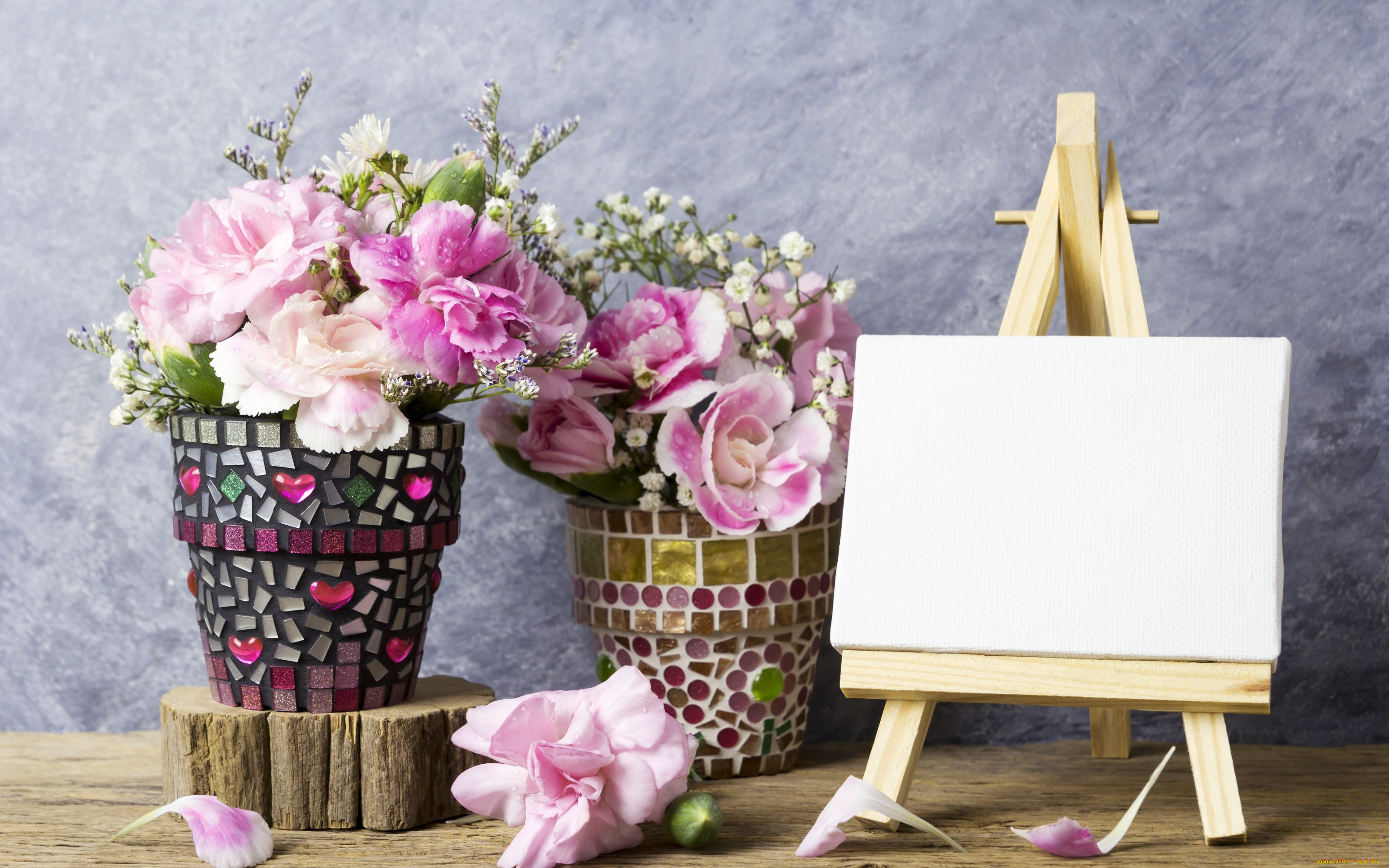 цветы, гвоздики, розовые, romantic, flowers, vintage, лепестки, pink, beautiful