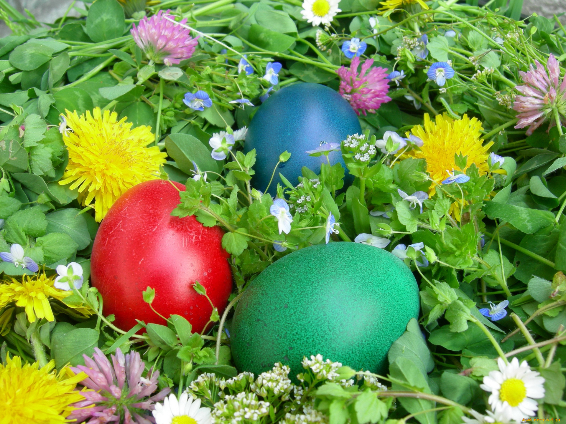 праздничные, пасха, цветы, яйцо