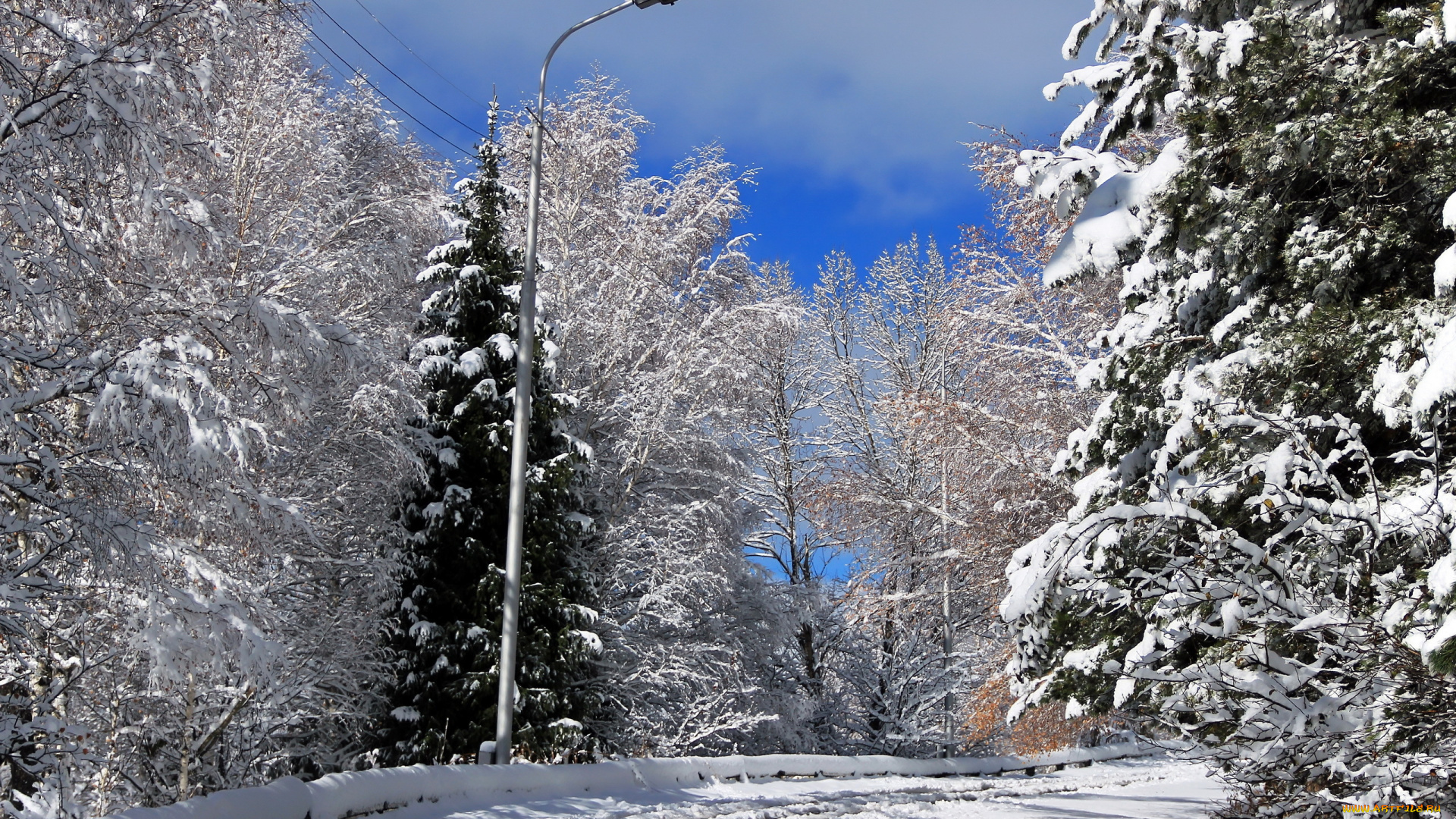 природа, зима, дорога, снег, пейзаж