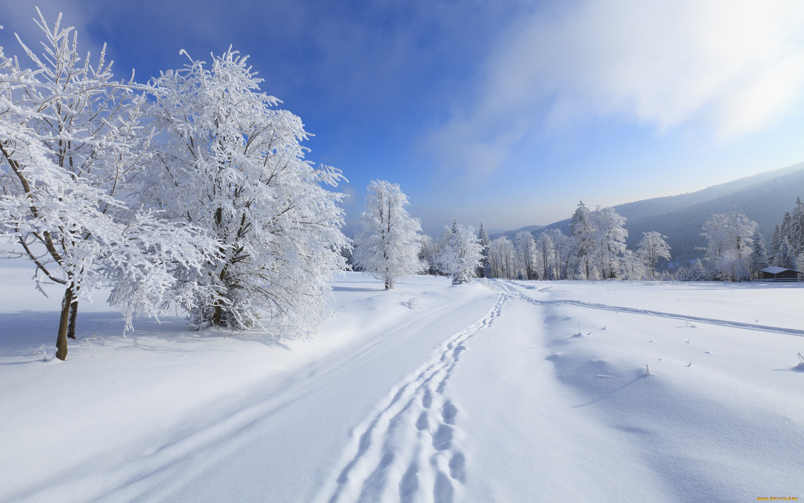природа, зима, снег, горы, деревья, небо, облака