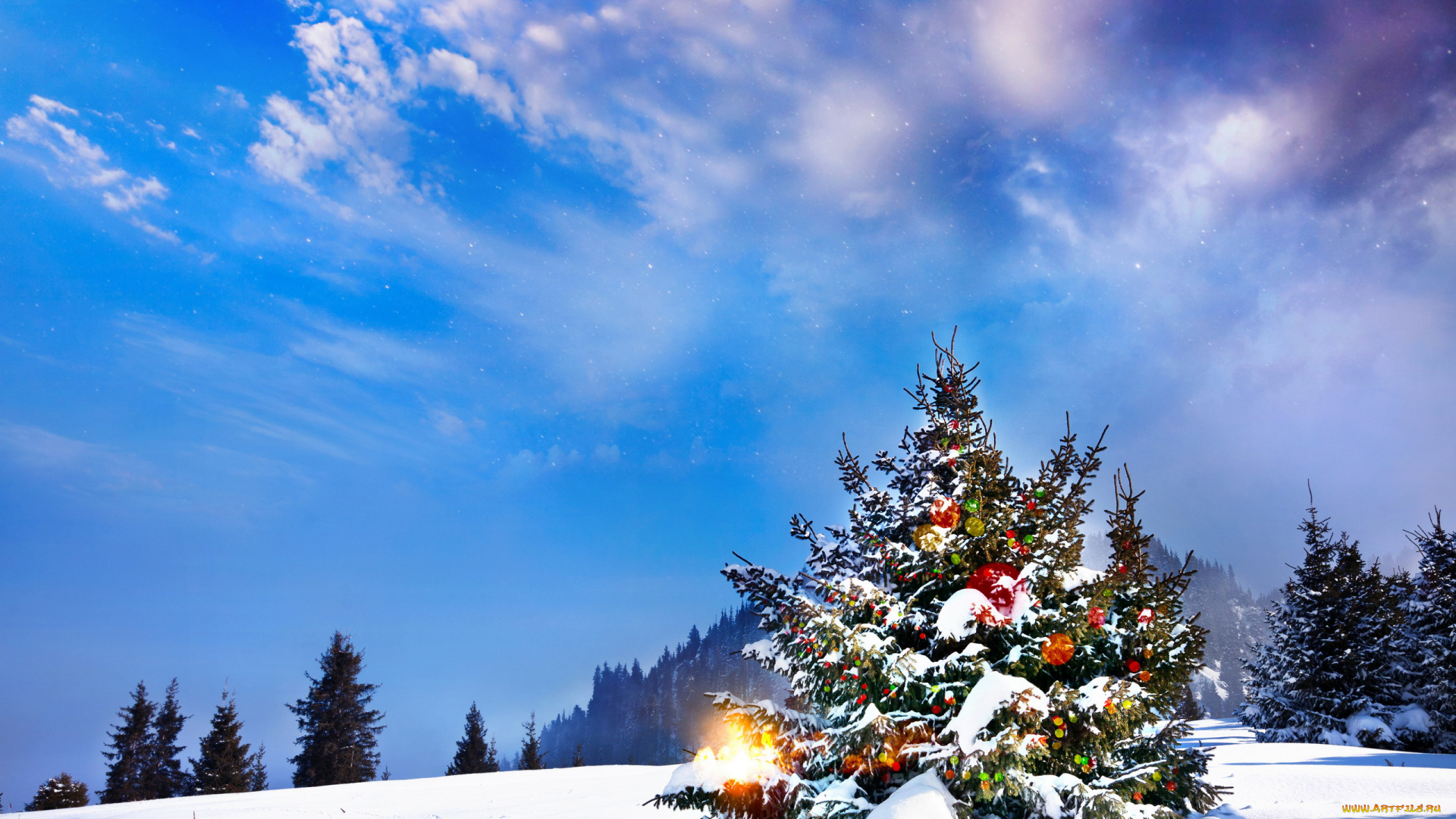 праздничные, Ёлки, елка, снег, небо, лес