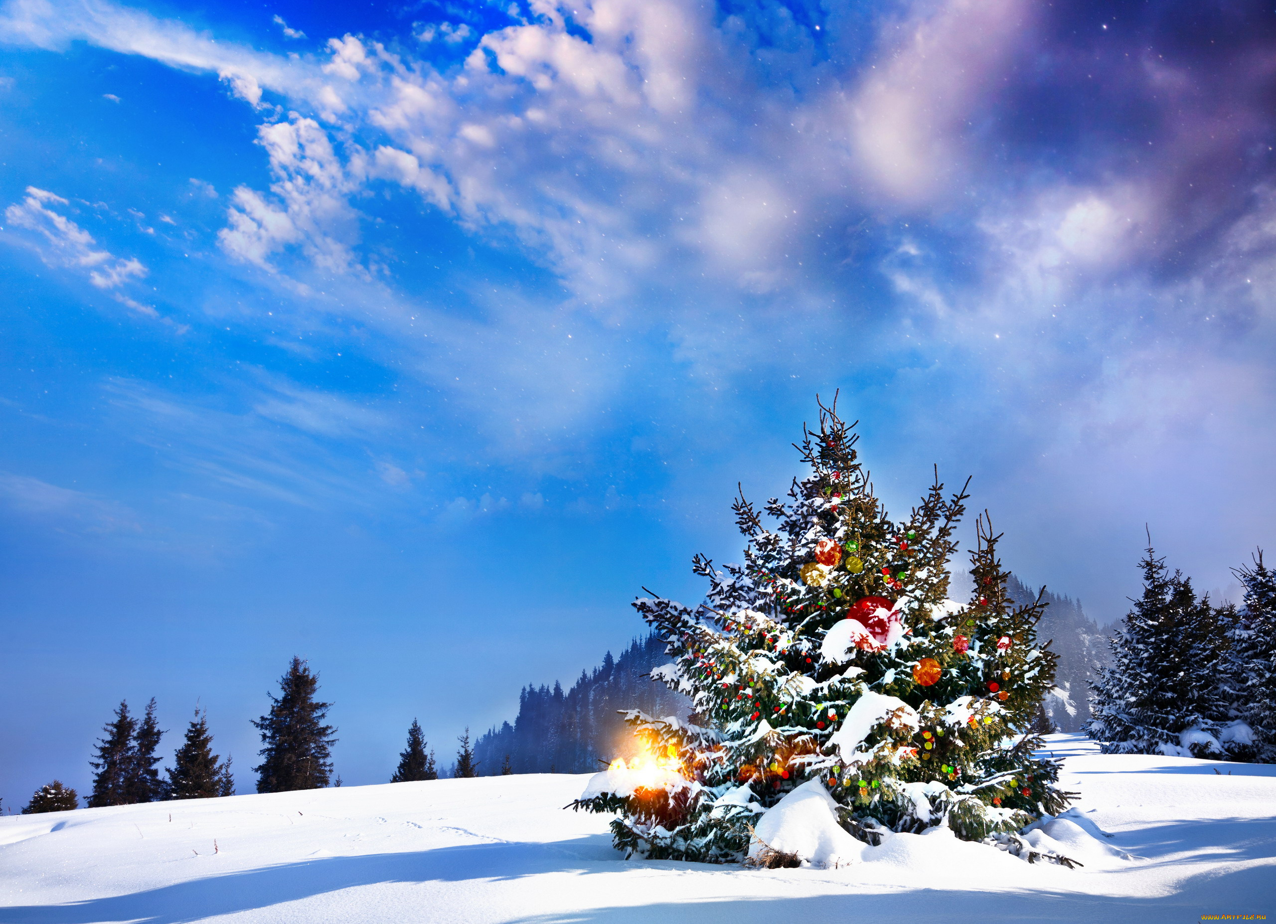 праздничные, Ёлки, елка, снег, небо, лес