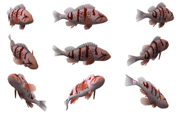 Картинка 3д+графика животные+ animals рыбы