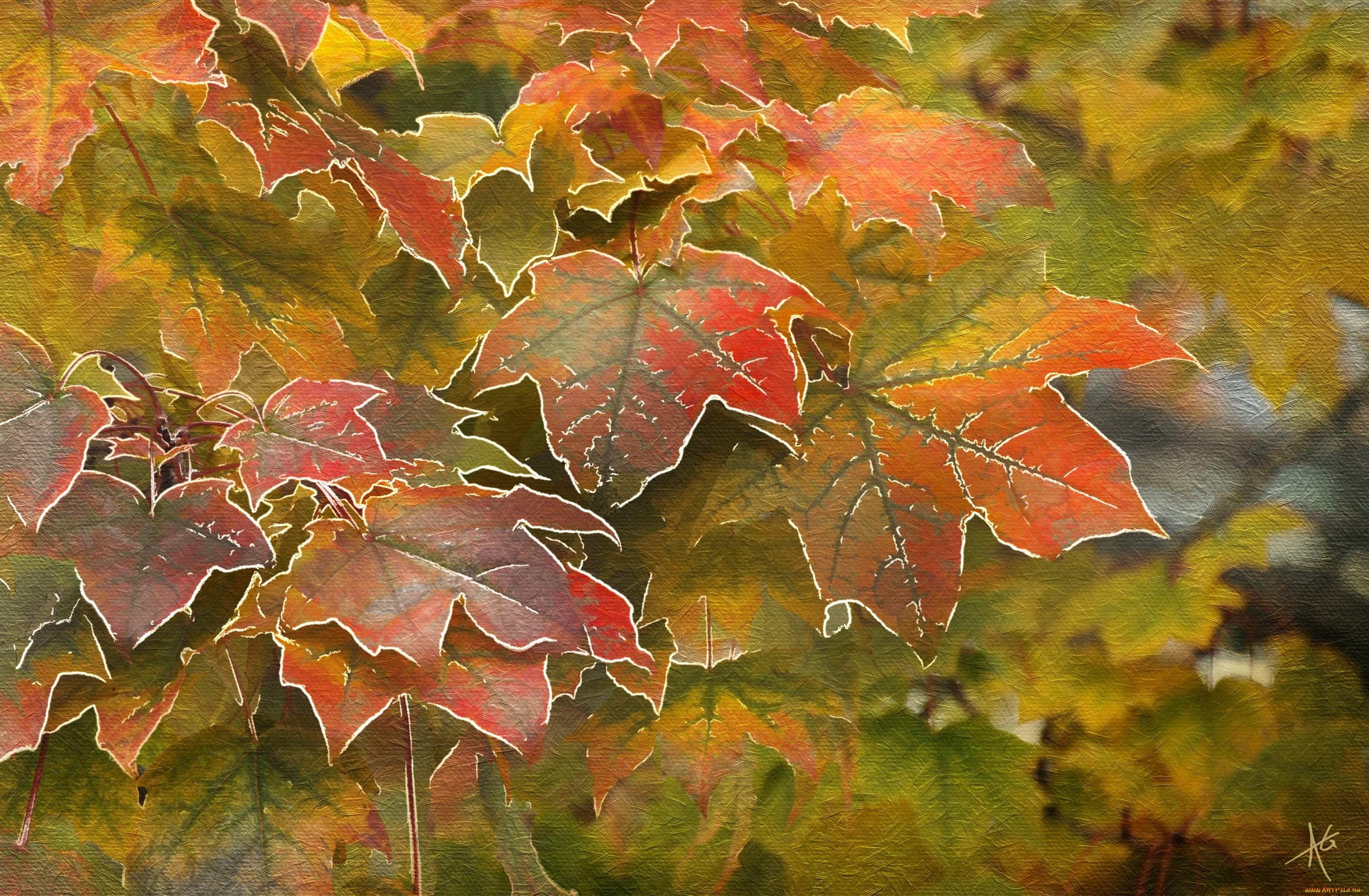 рисованное, природа, клен, осень, листья