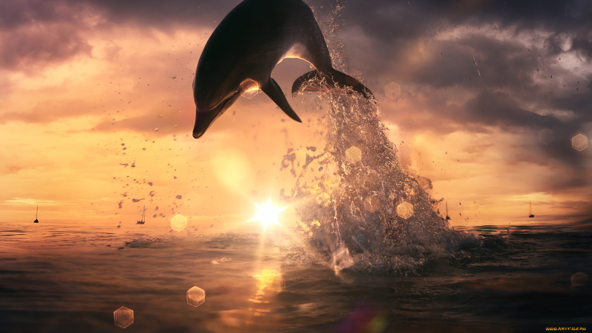 животные, дельфины, брызги, море, вода, солнце, небо, горизонт, облака, закат, лучи, дельфин, блики, прыжок