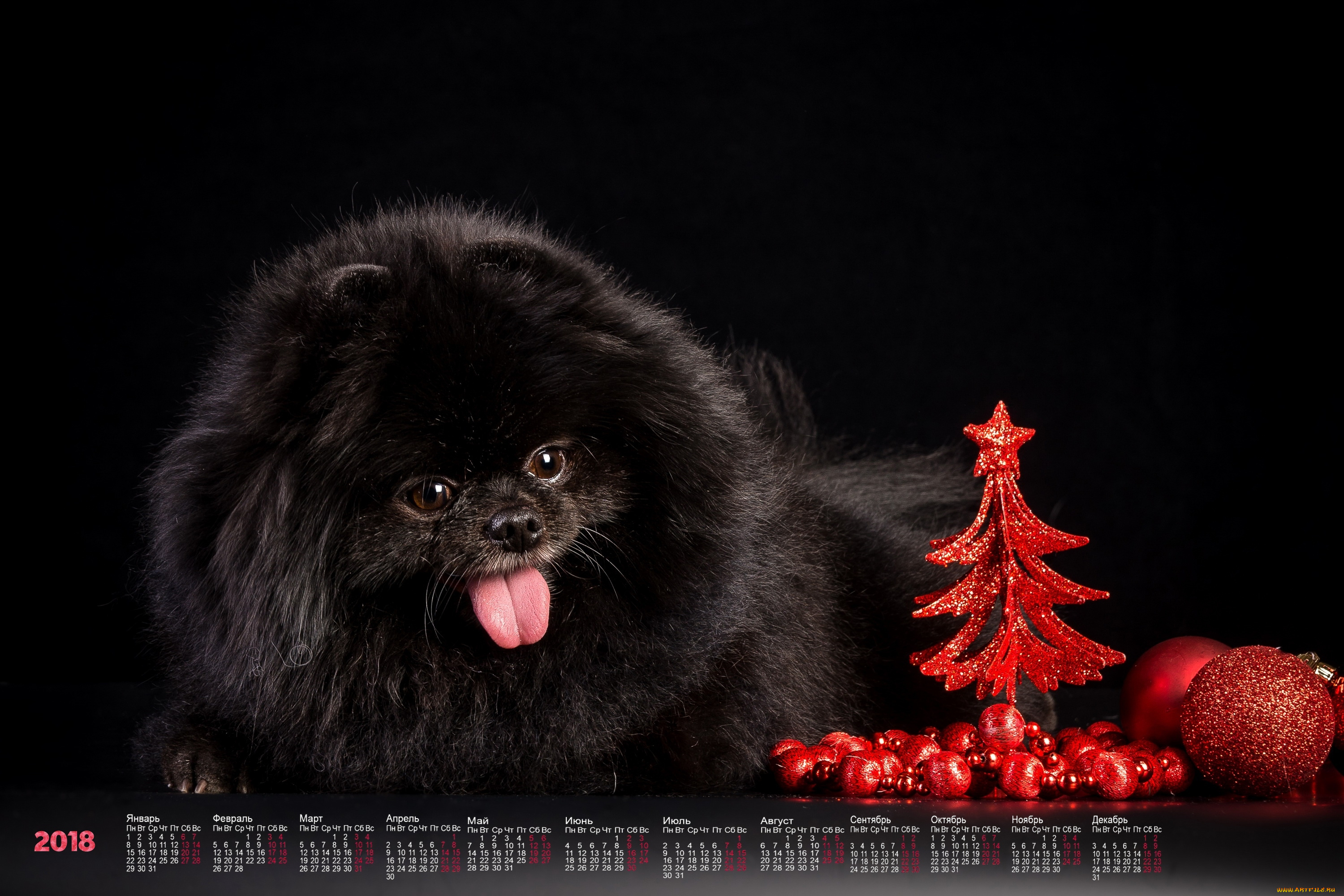 календари, животные, черный, фон, собака, 2018
