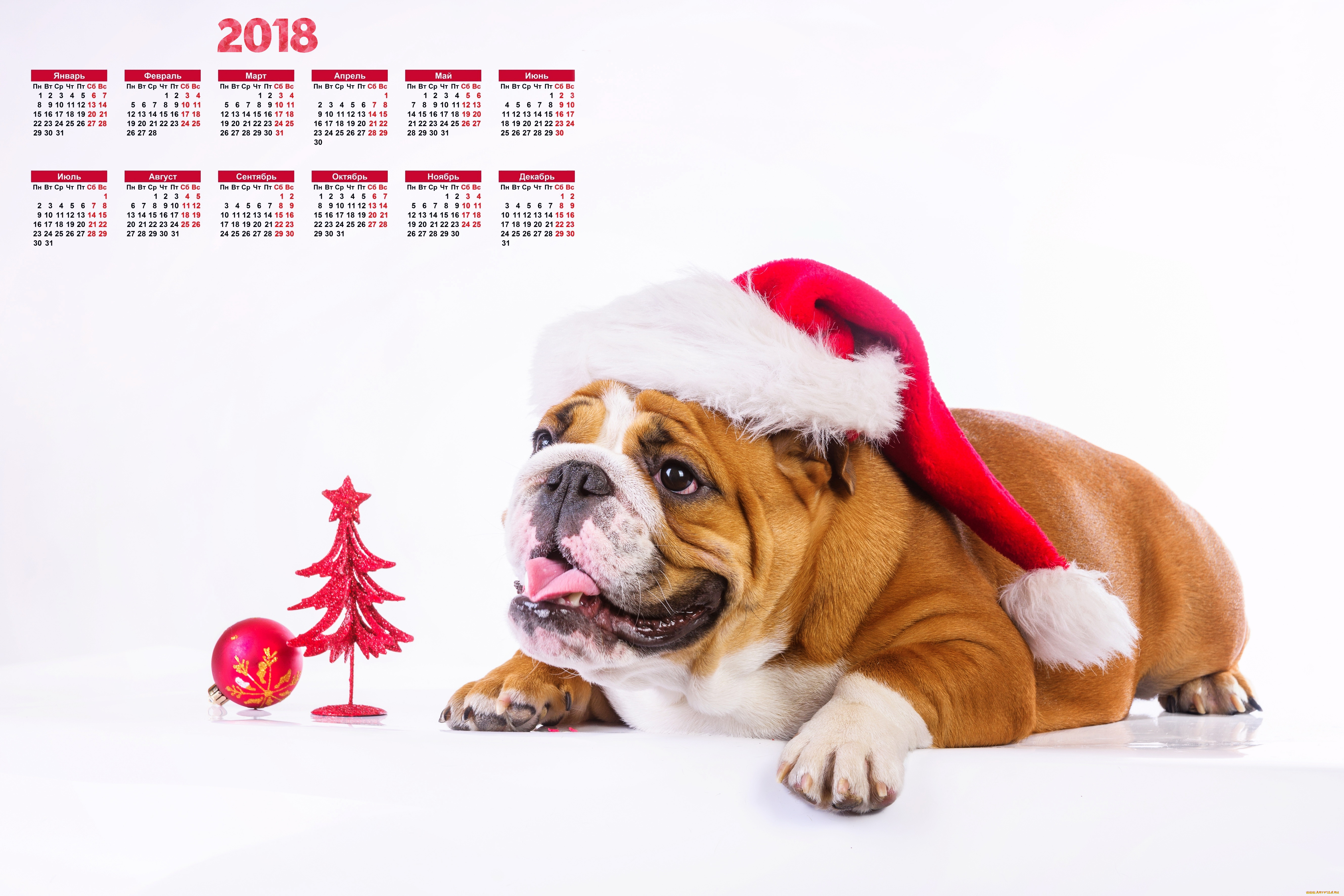 календари, животные, игрушка, шапка, елка, взгляд, 2018, собака