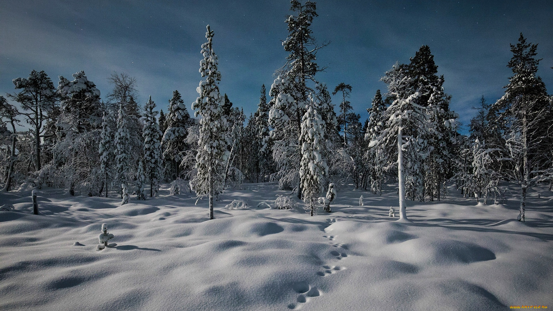 природа, зима, riutula, lapland, finland, финляндия